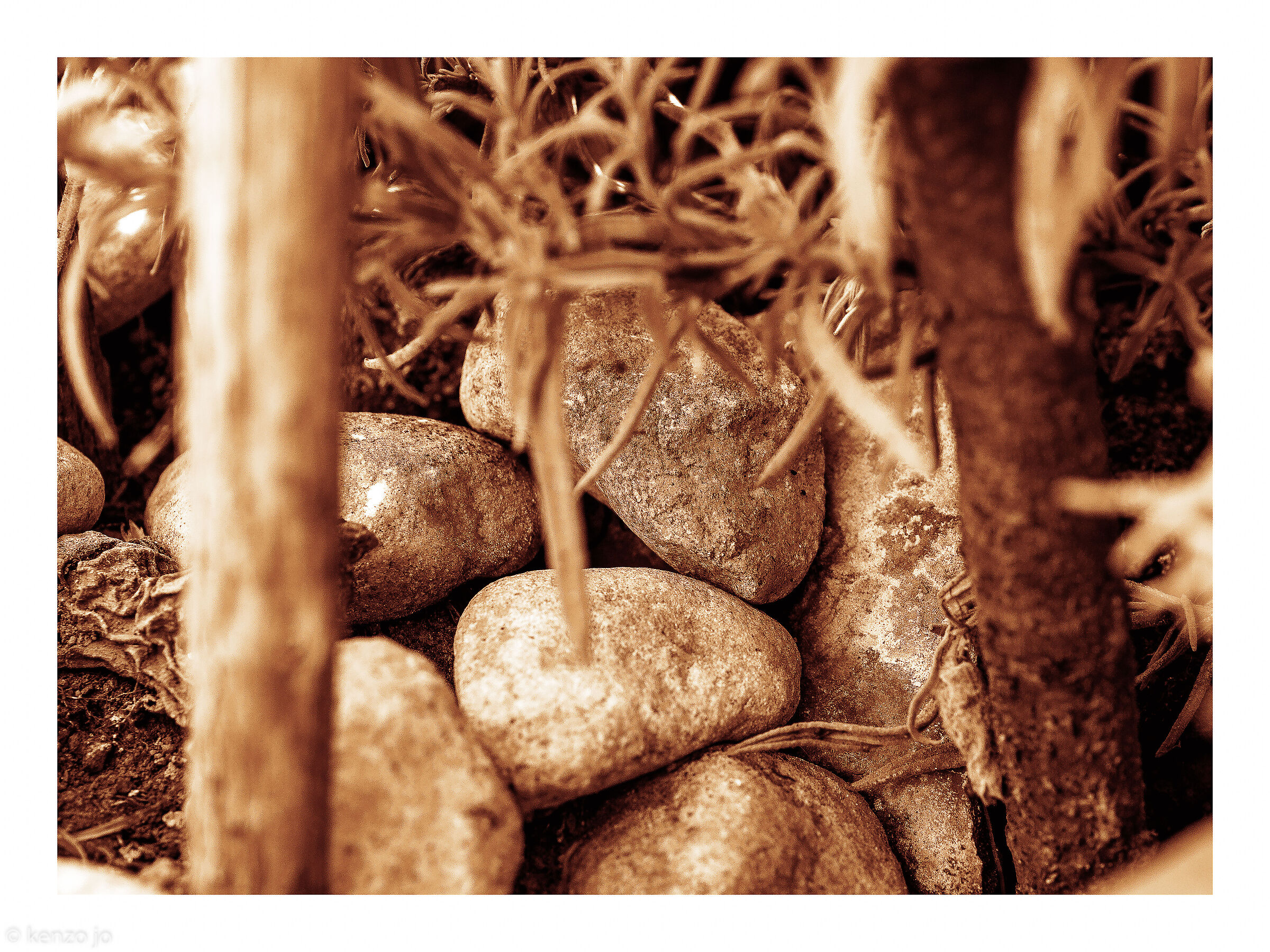 Viaggiare con la mente