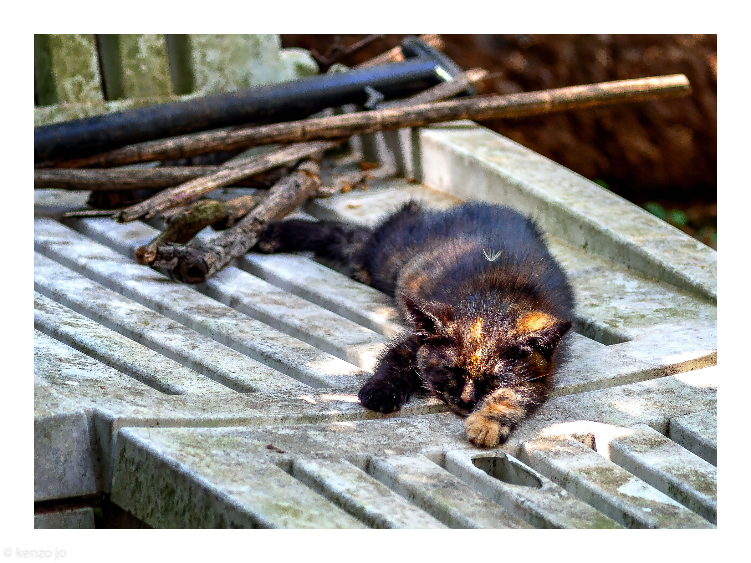 Prima siesta (è nato da poco più di un mese)