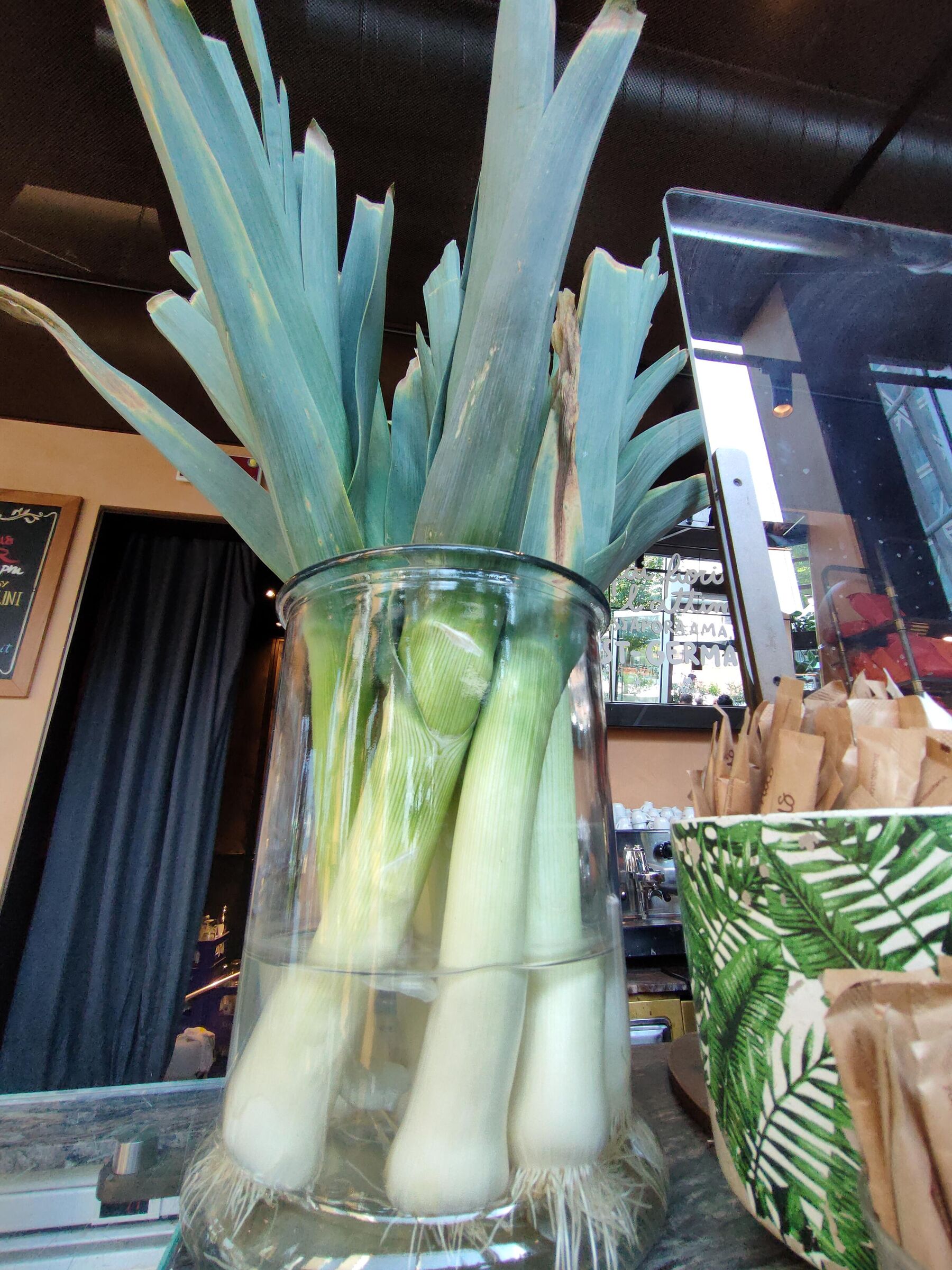 That mazzolin of... leeks...