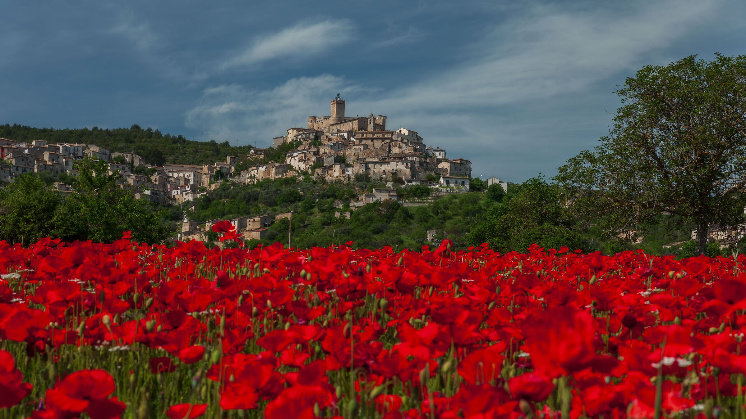 Cartolina da  Capestrano (AQ)