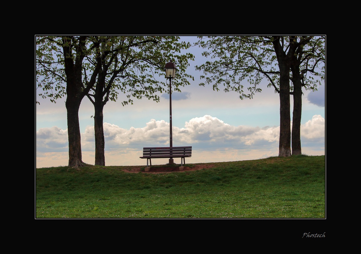 The bench on the world