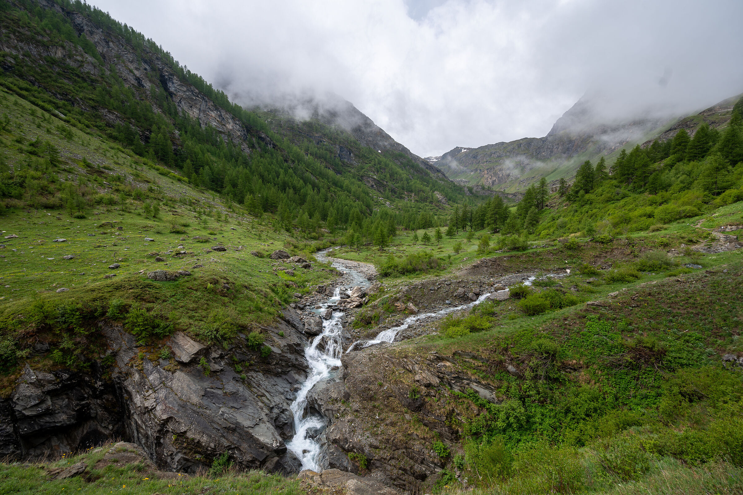 towards the benevolent refuge