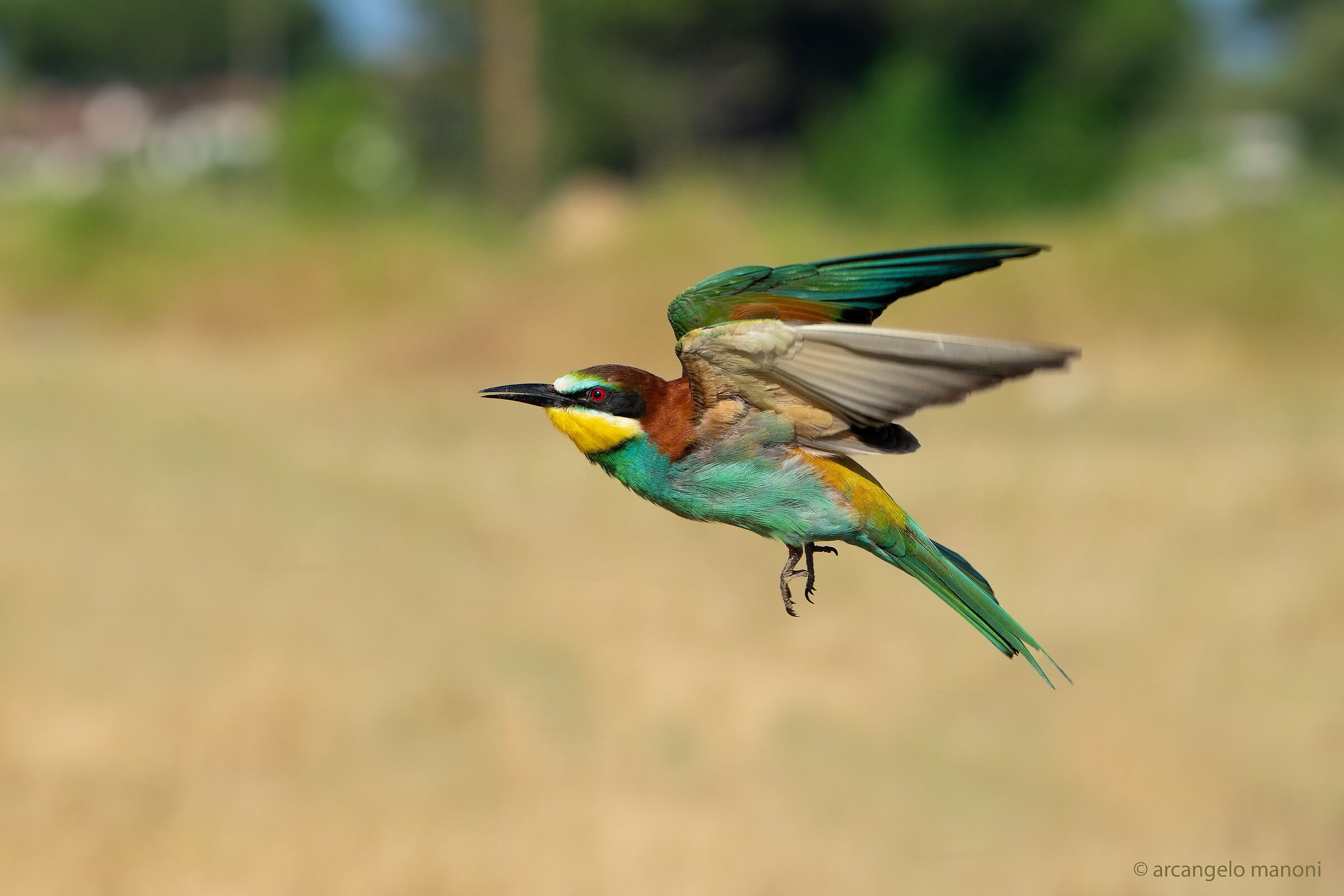 Small flight indecision