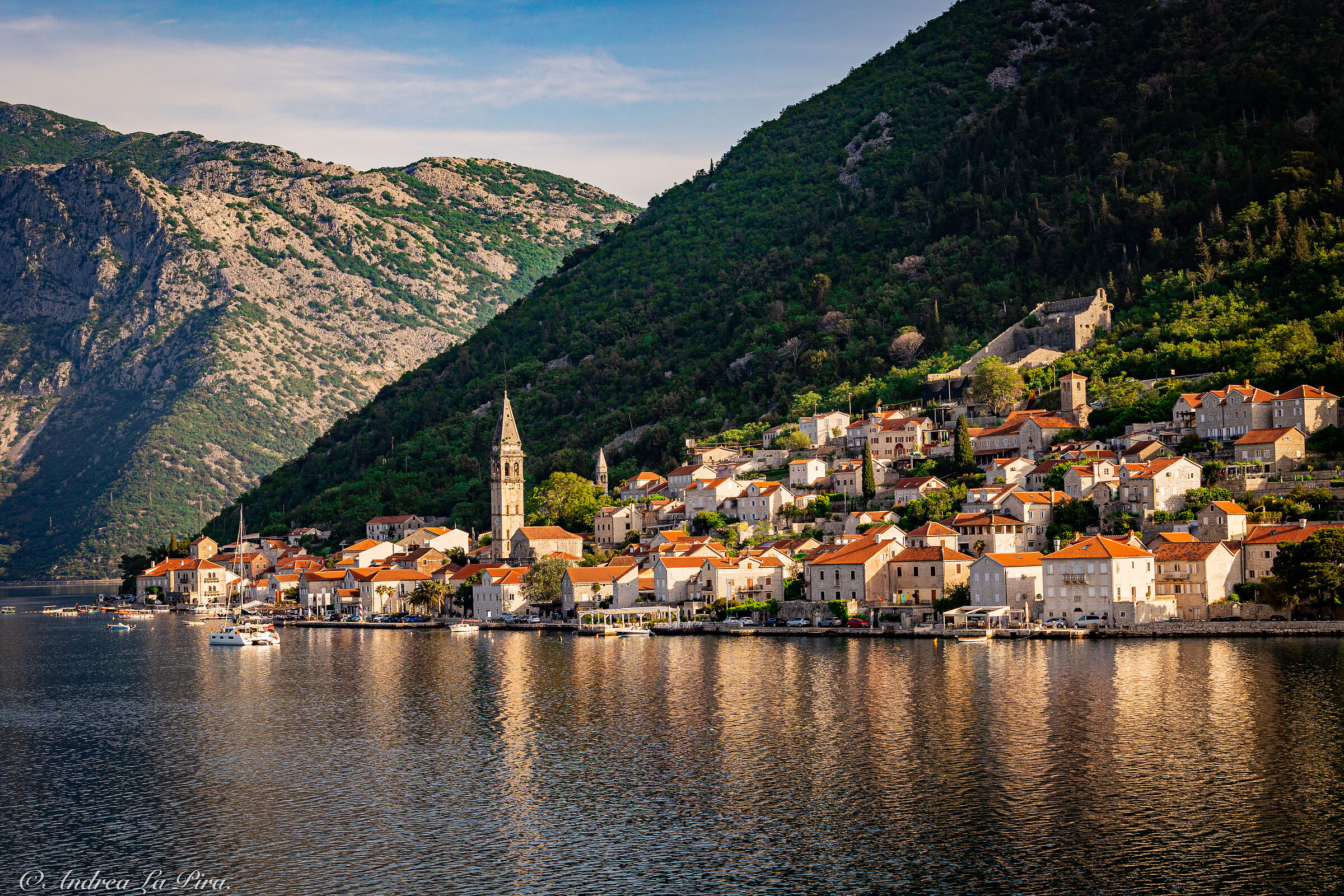 Kotor