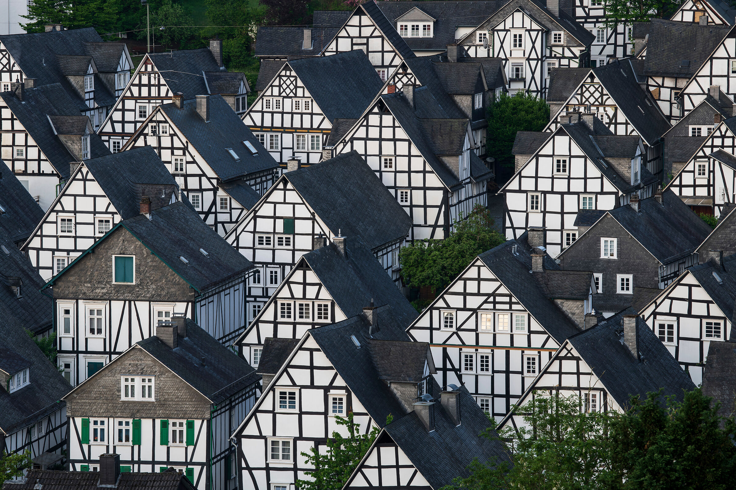 Freudenberg