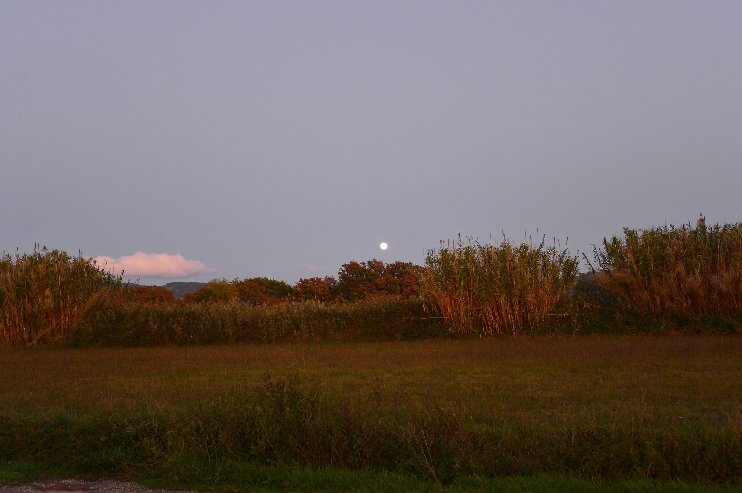 Saturnia - chiaro di luna