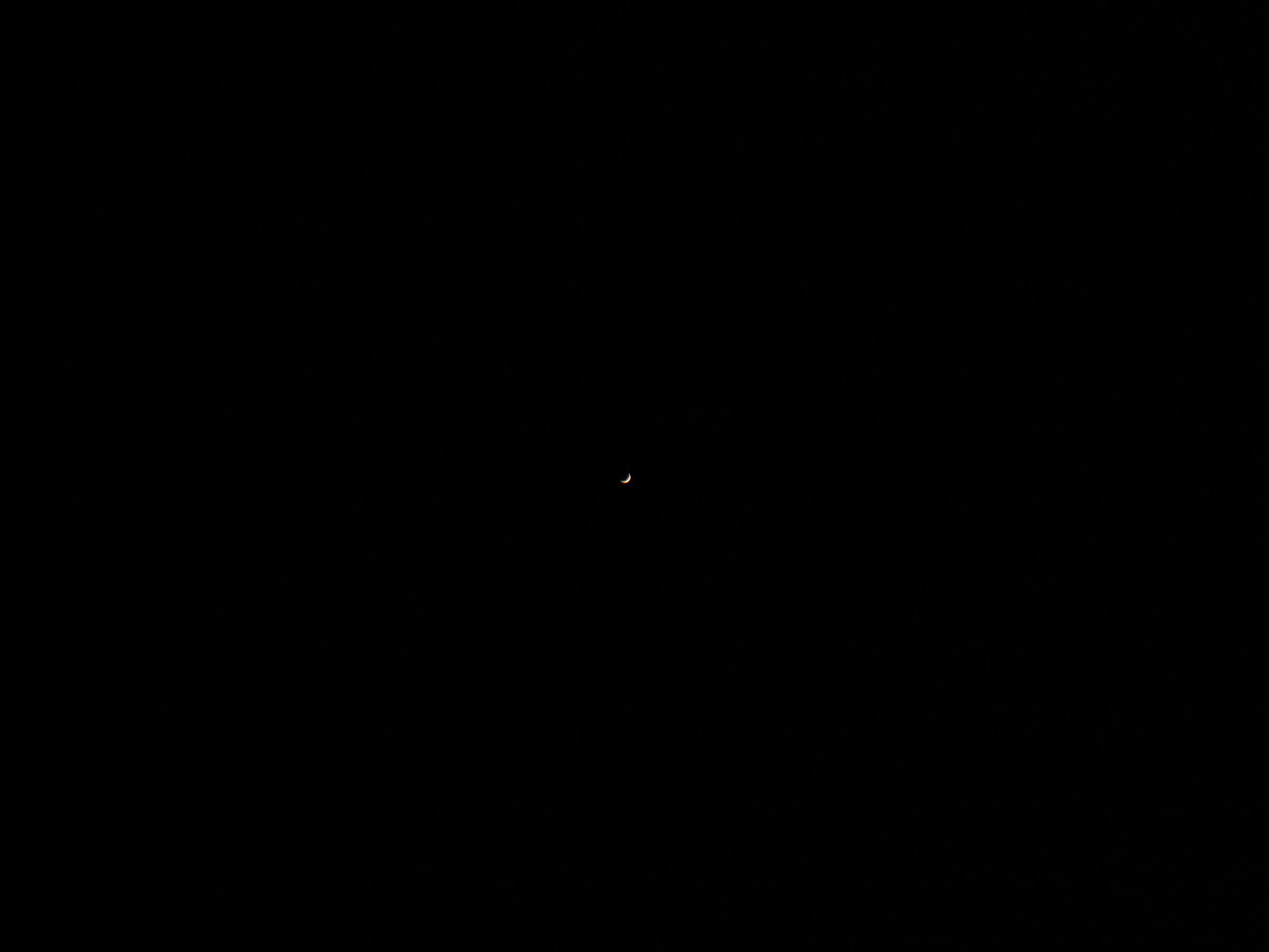 Venus 1