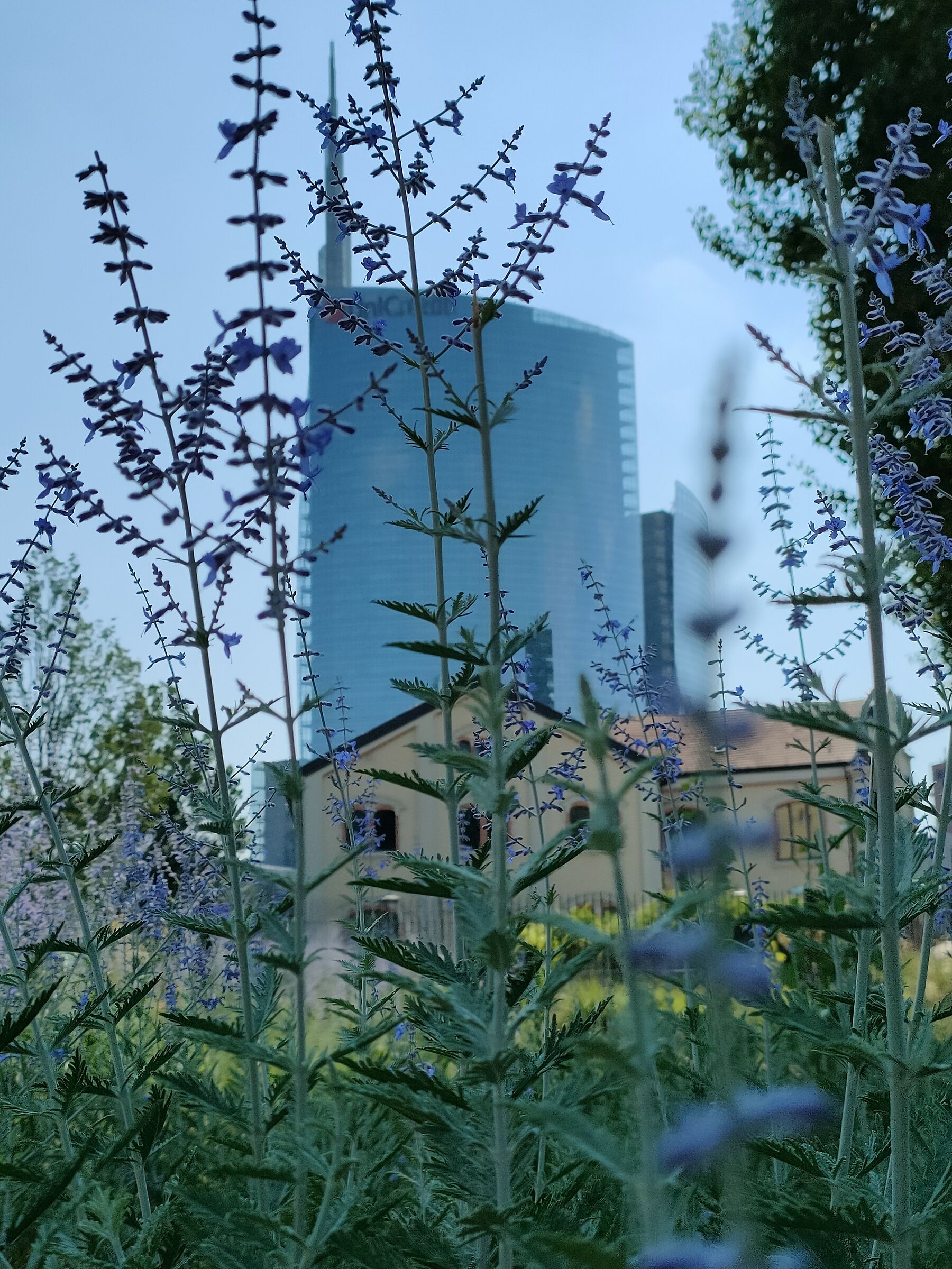 I hide but there are