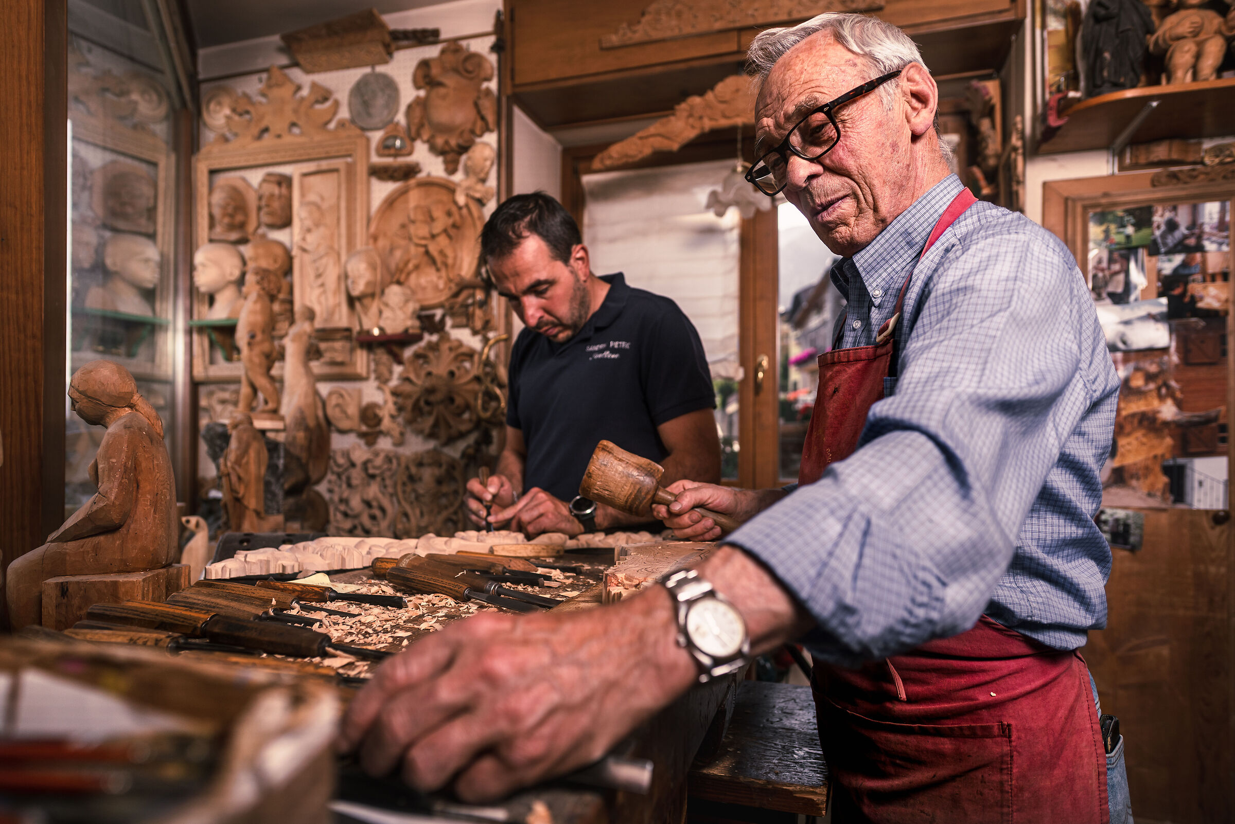 " La vena che unisce due destini "