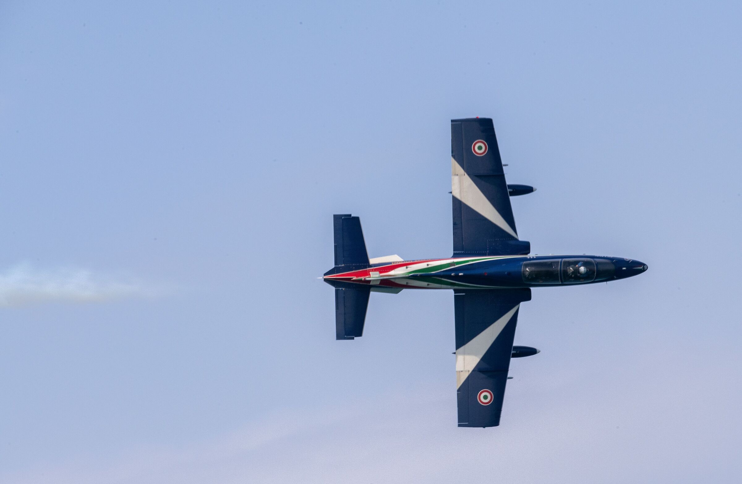 Tricolor Arrows Pony10