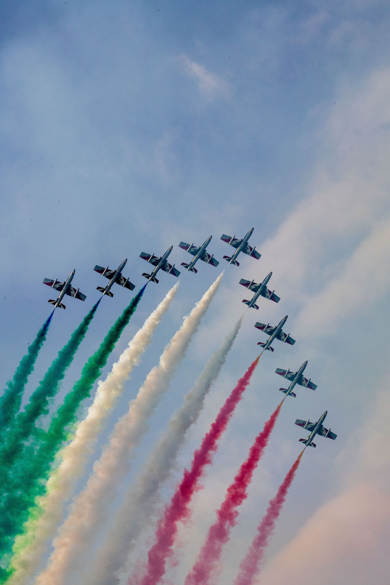 Tricolor Arrows Alona