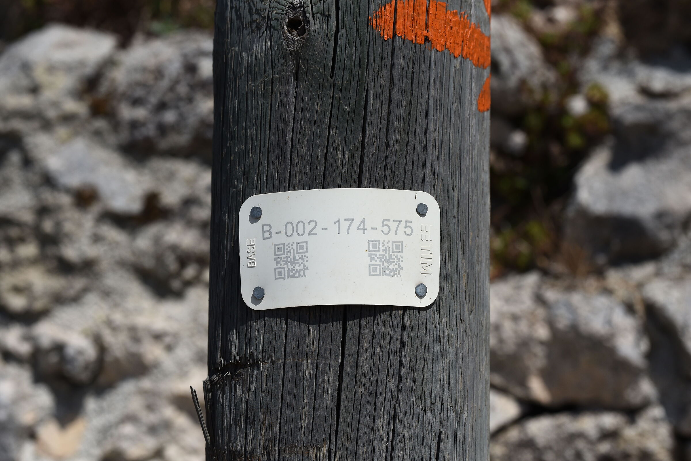 Sigma 85, 1.4 Art- 1/ 4.0 0 0, F. 6.7, ISO 500