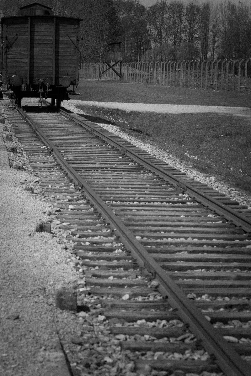 ...gli occhi di Samuele