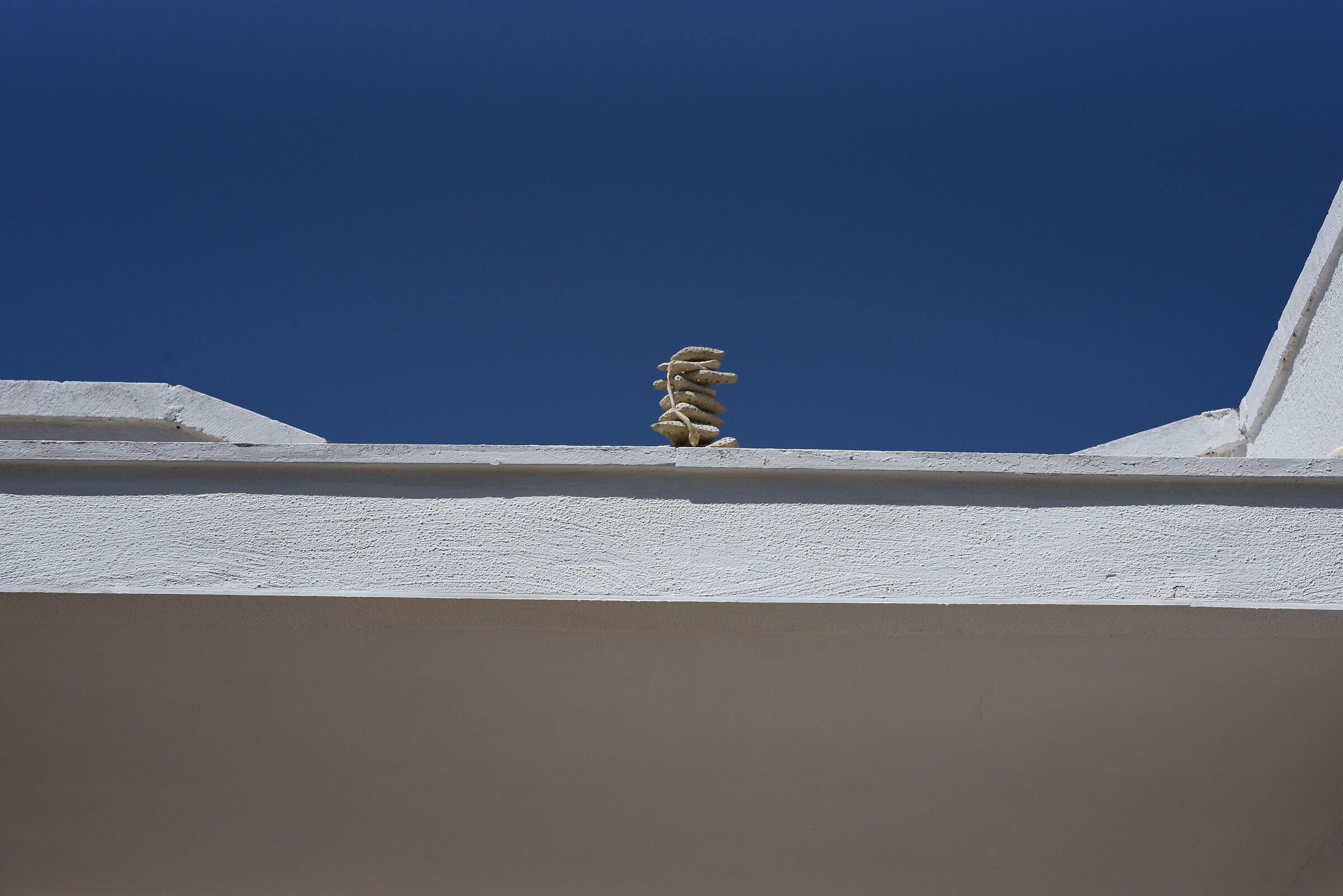 Sigma 85, 1.4 Art- 1/ 4.0 0 0, f.8, ISO 500