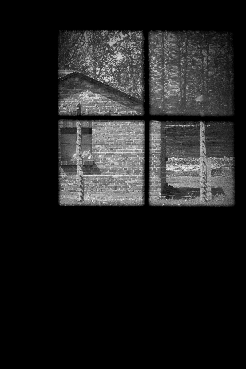 ...gli occhi di Samuele