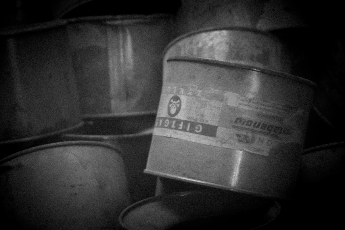 ...gli occhi di Samuele