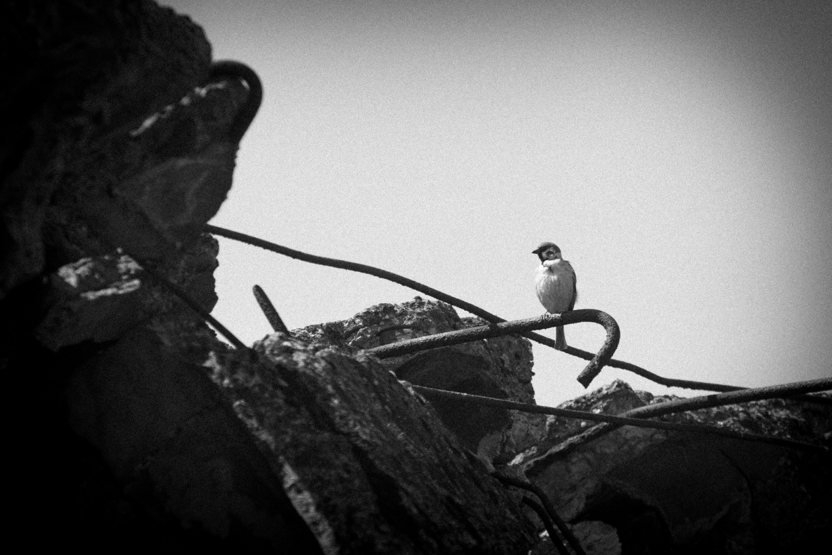 ...gli occhi di Samuele