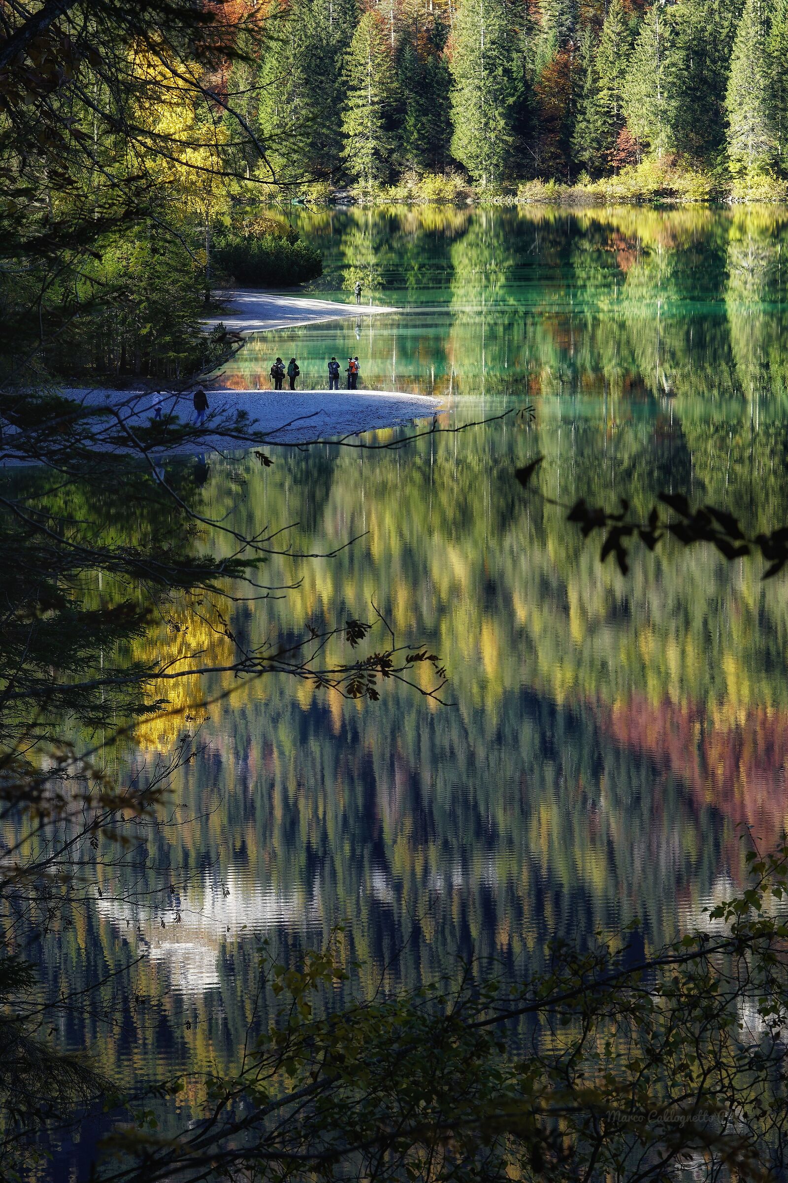Lake Tovel and its Palette