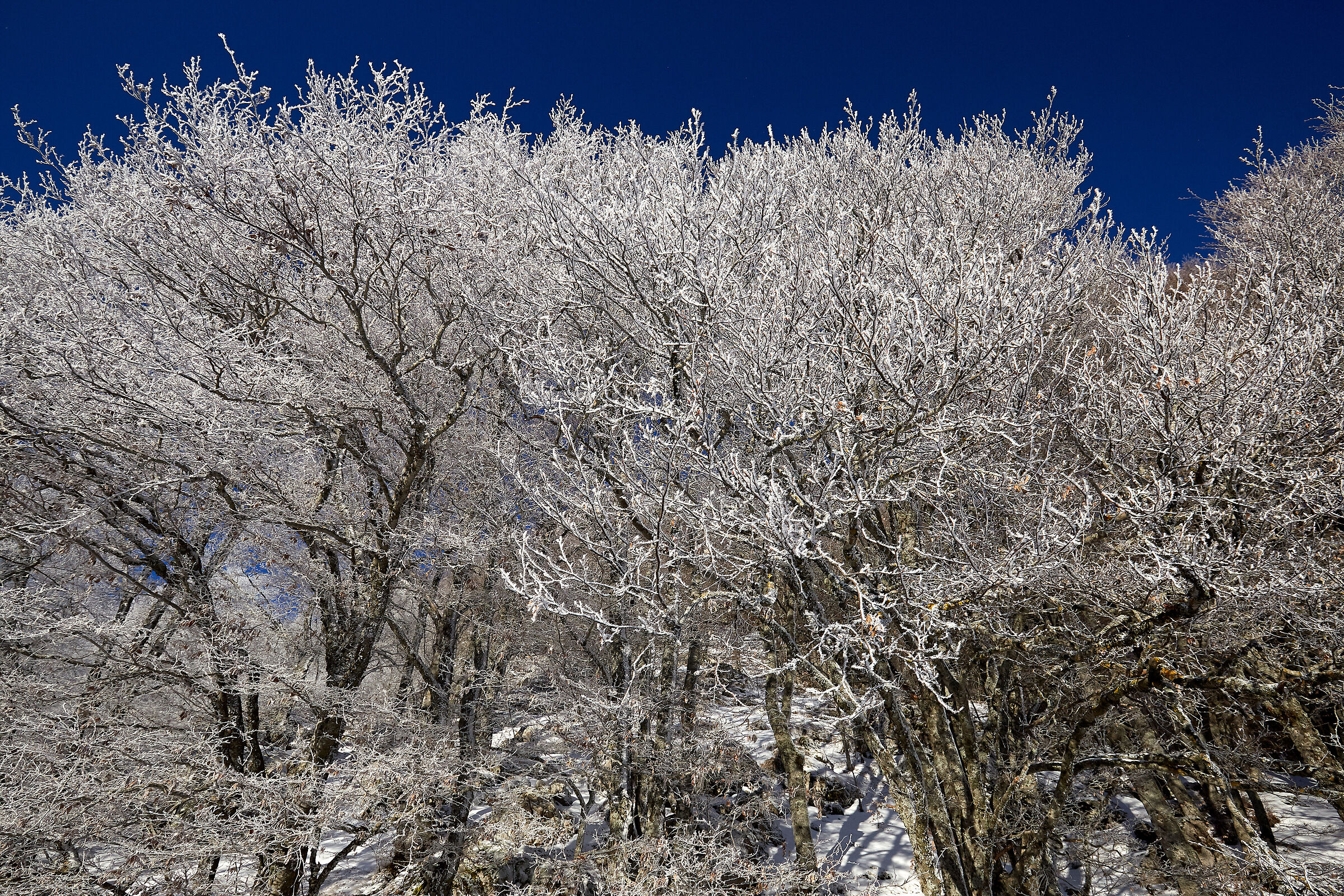 Il gelo del mattino - Gamberale inverno 2022