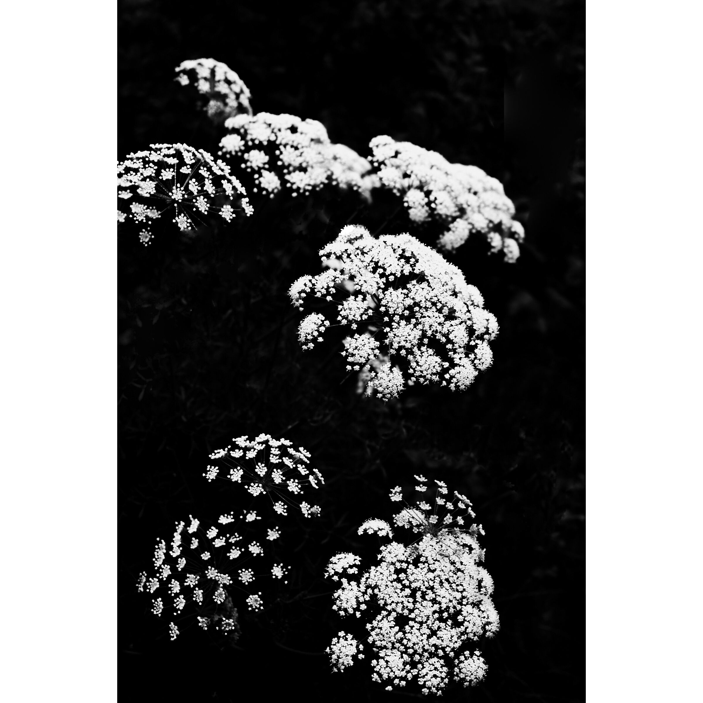 Untitled Photo