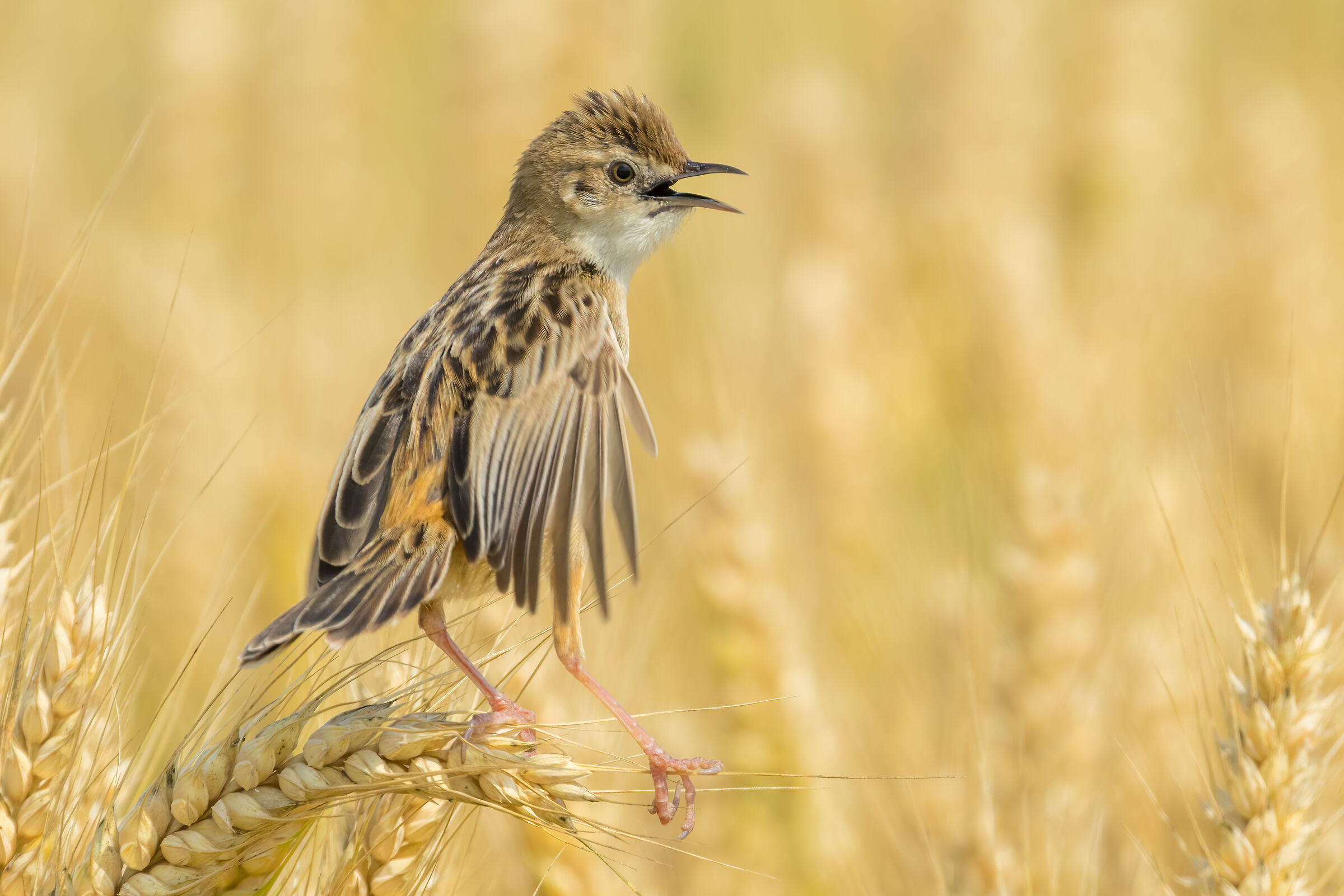 In precarious balance