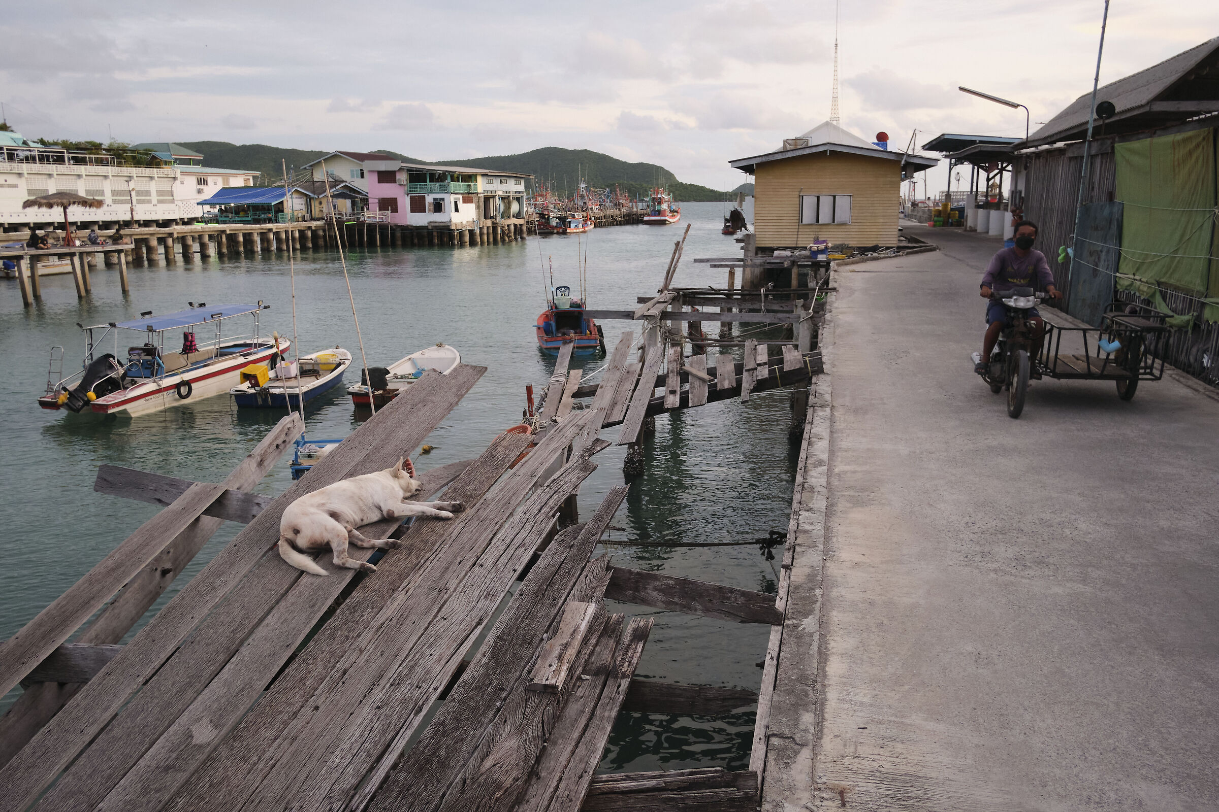 Dormendo sul pontile