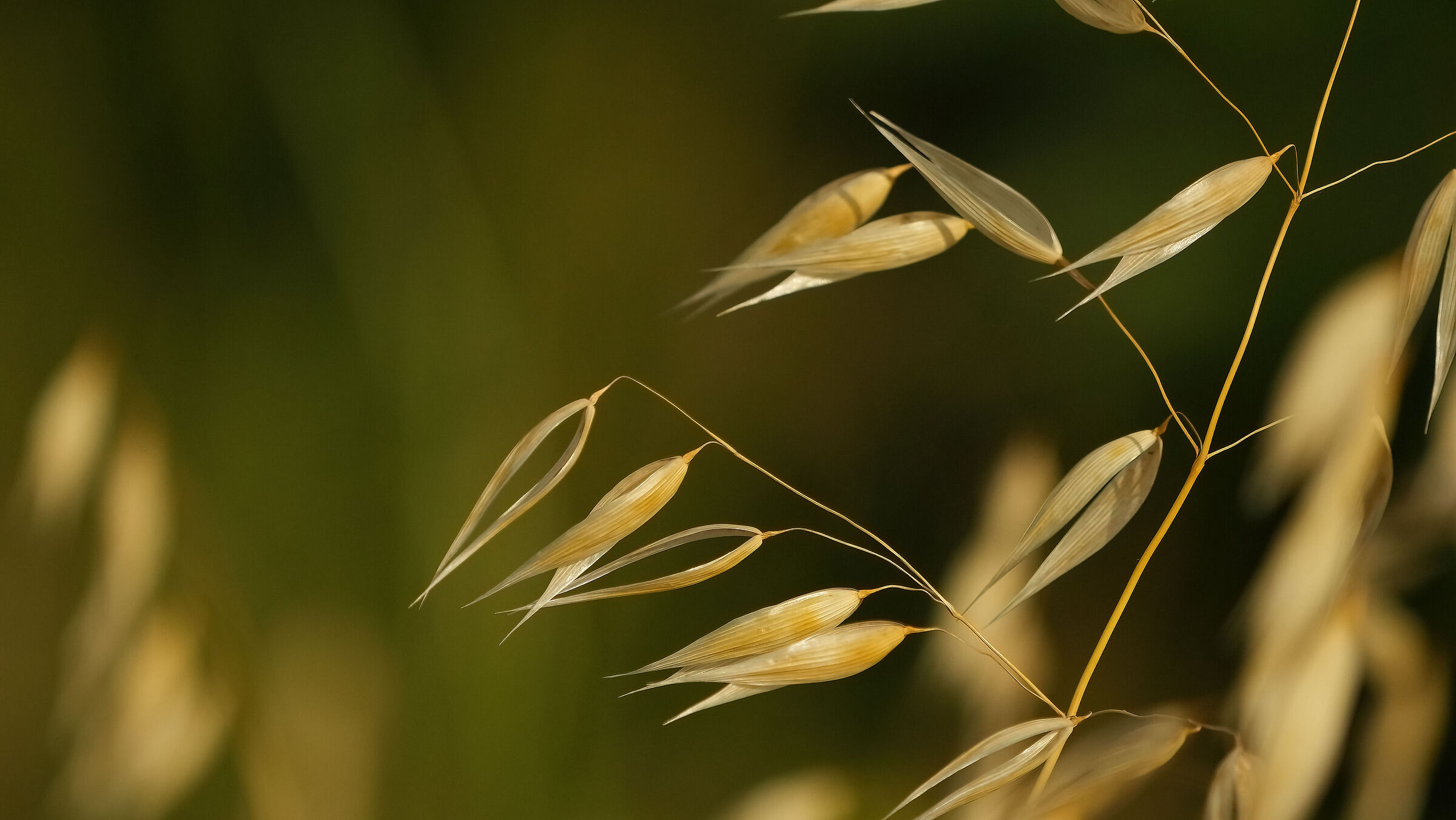 la simmetria nella semplicità