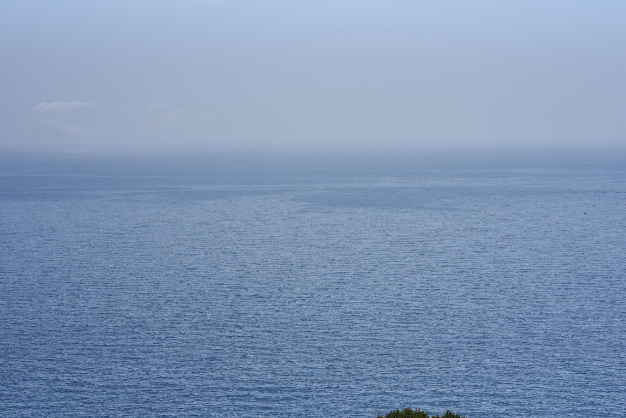 Sigma 85, 1.4 Art- 1/ 4.0 0 0, F. 6.7, ISO 500