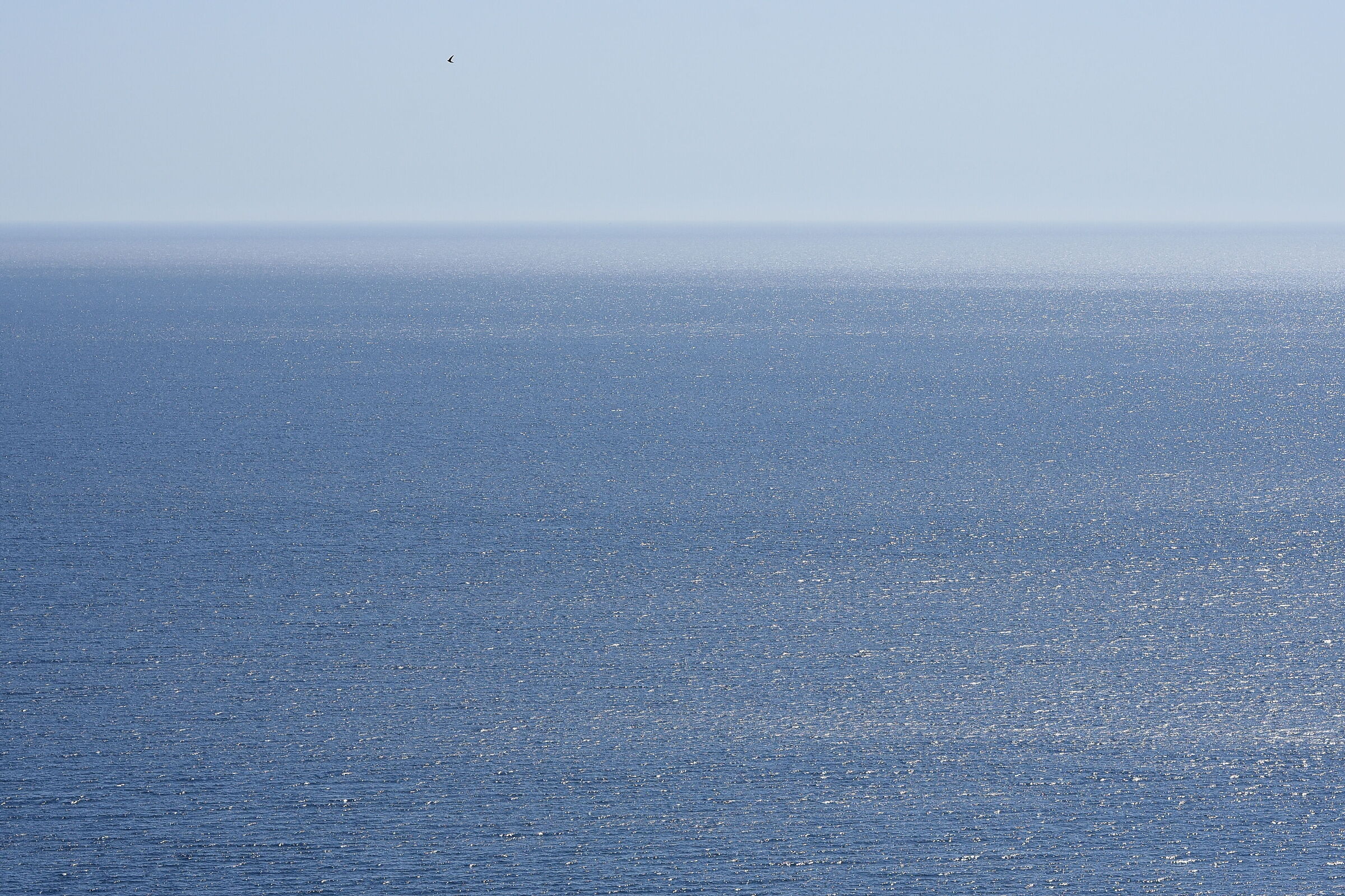 Sigma 85, 1.4 Art- 1/ 4.0 0 0, F. 6.7, ISO 500