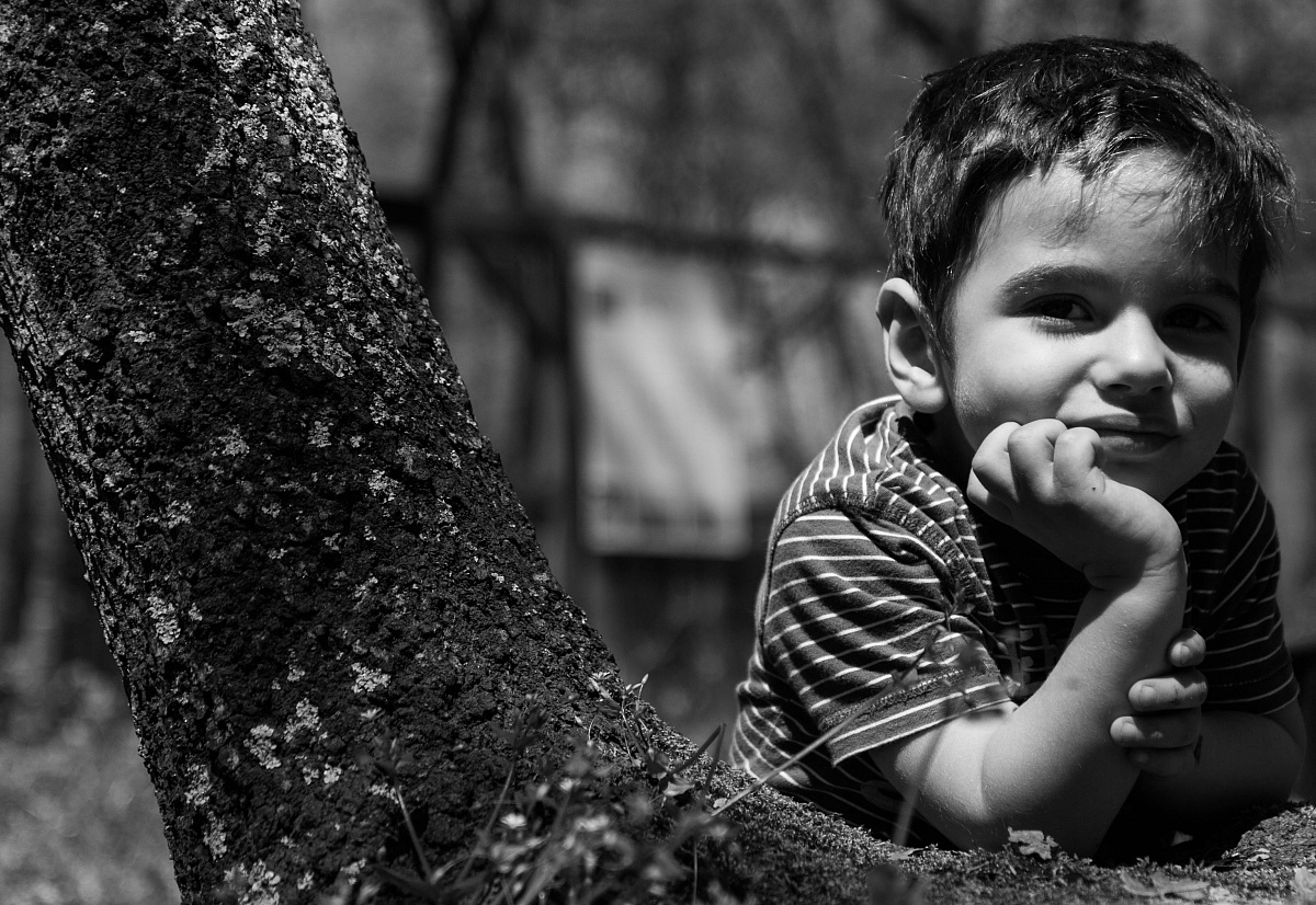 James Dean of Puppies