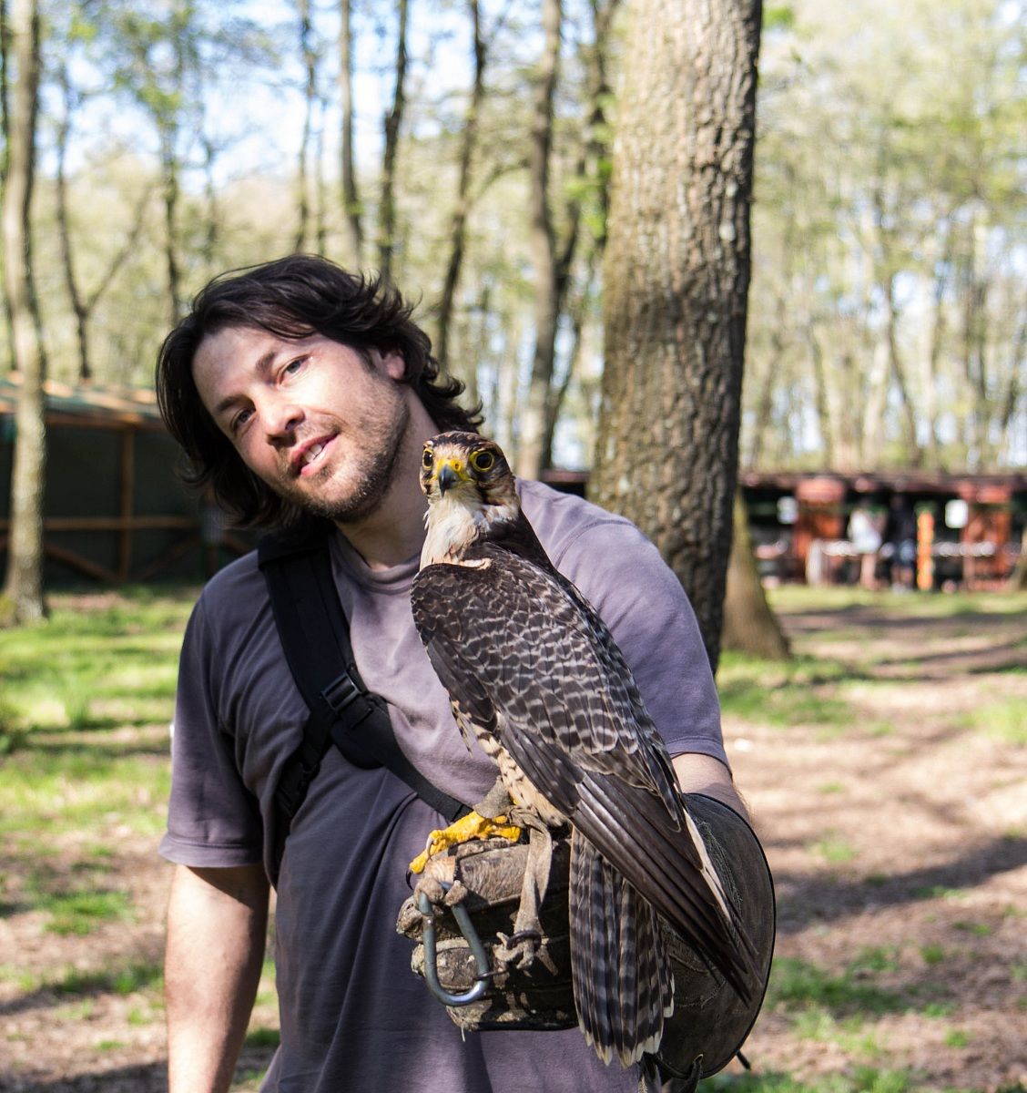 I & the Hawk "American Kestrel"