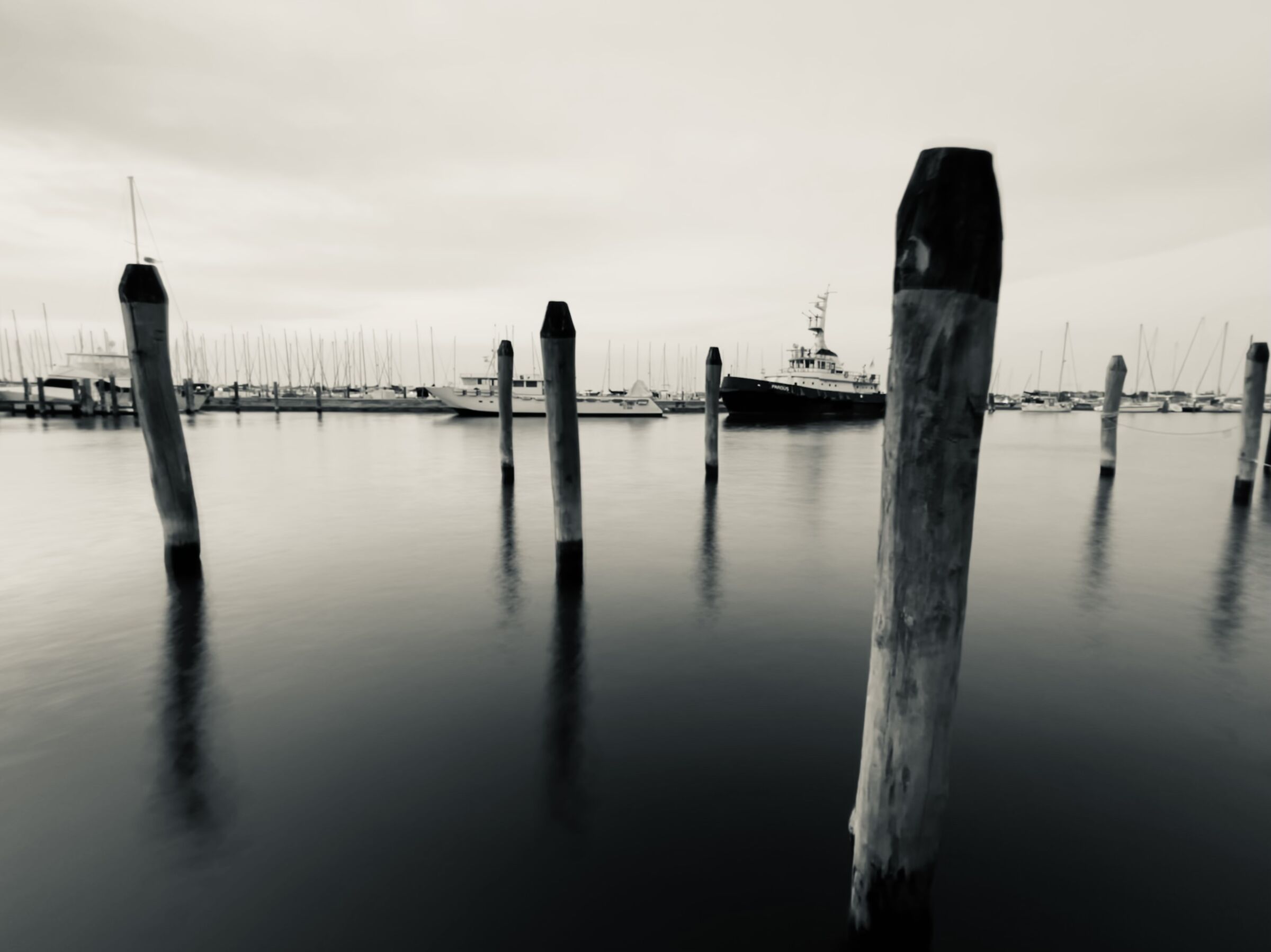 Porto black e white