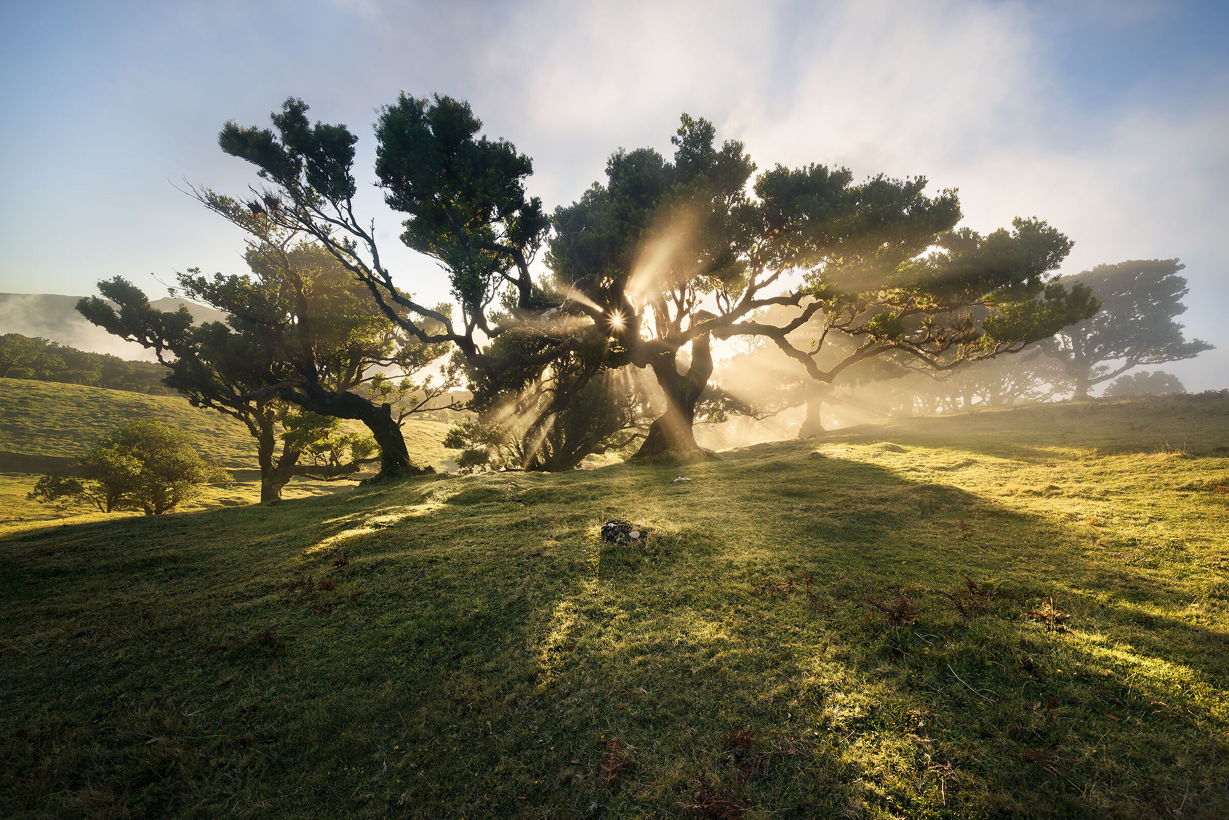 Madeira