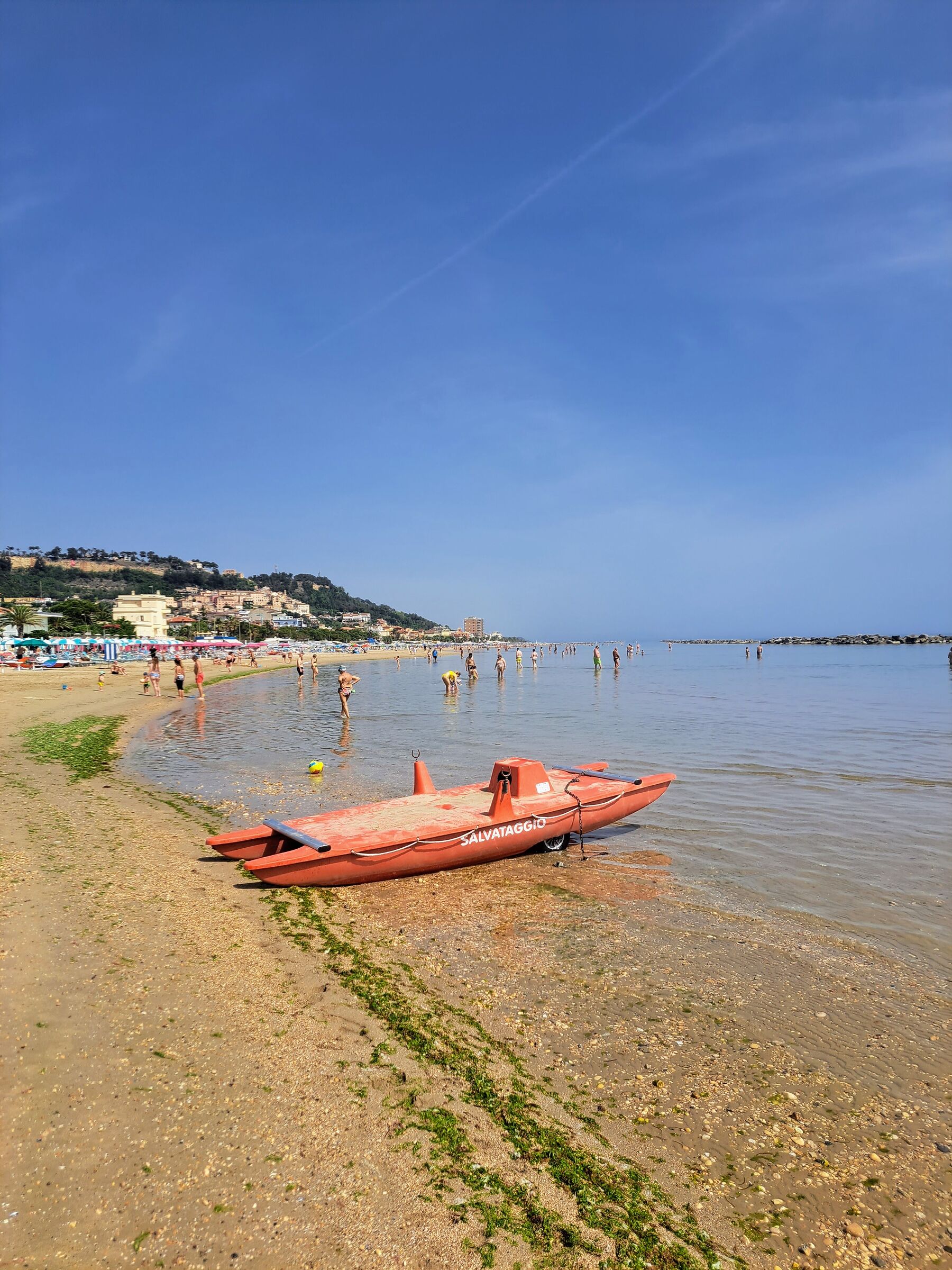 Grottammare, natura contaminata dall' uomo 2