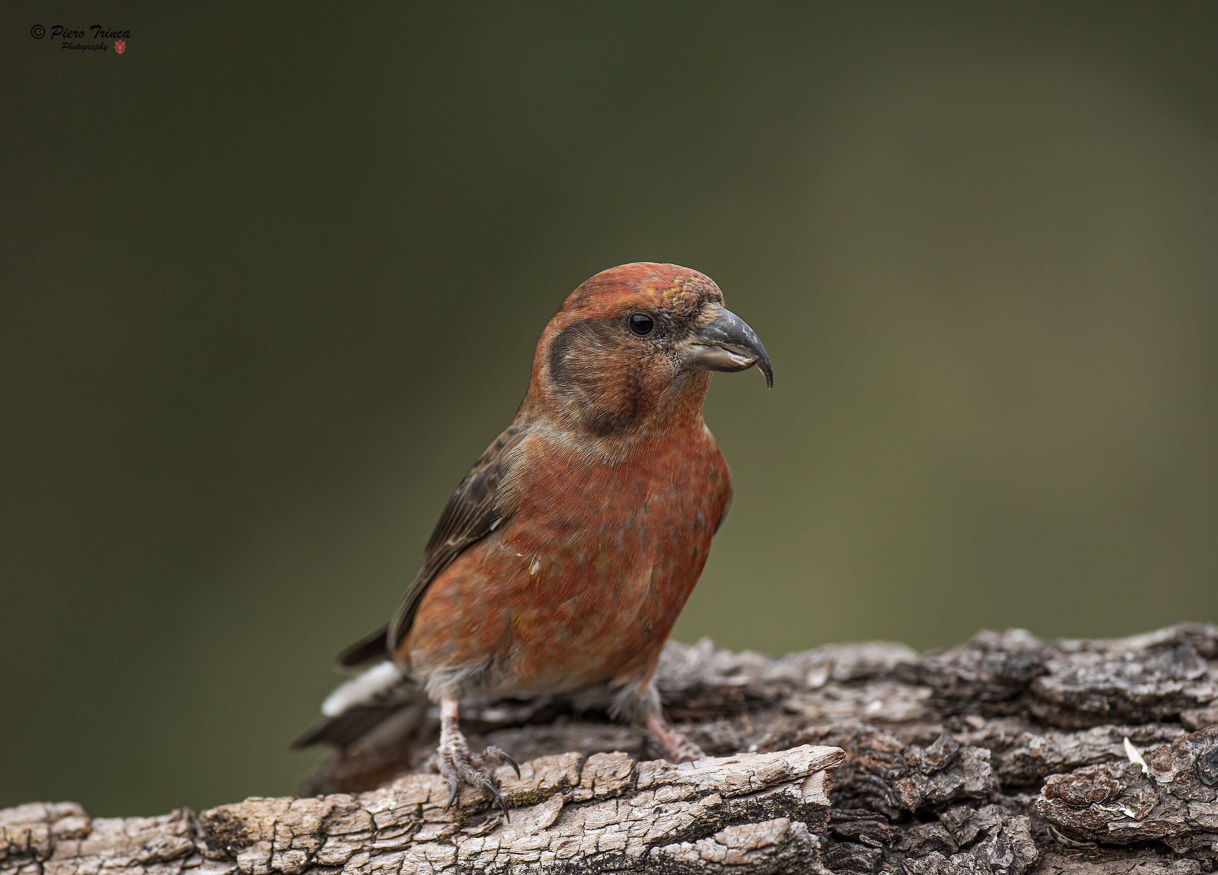 crociere Malga natura