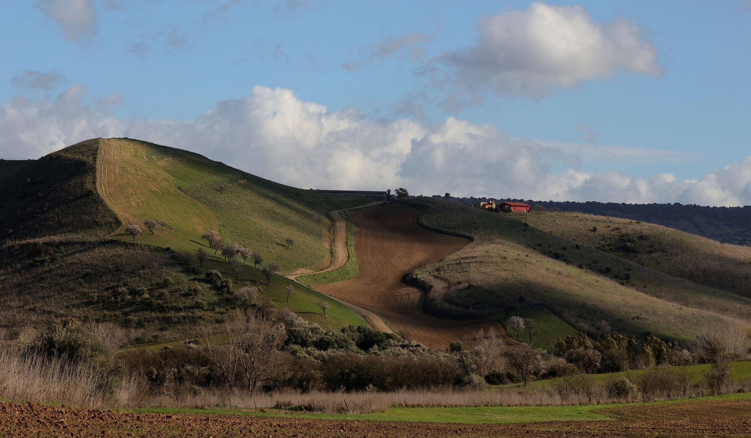 Curve a più non posso