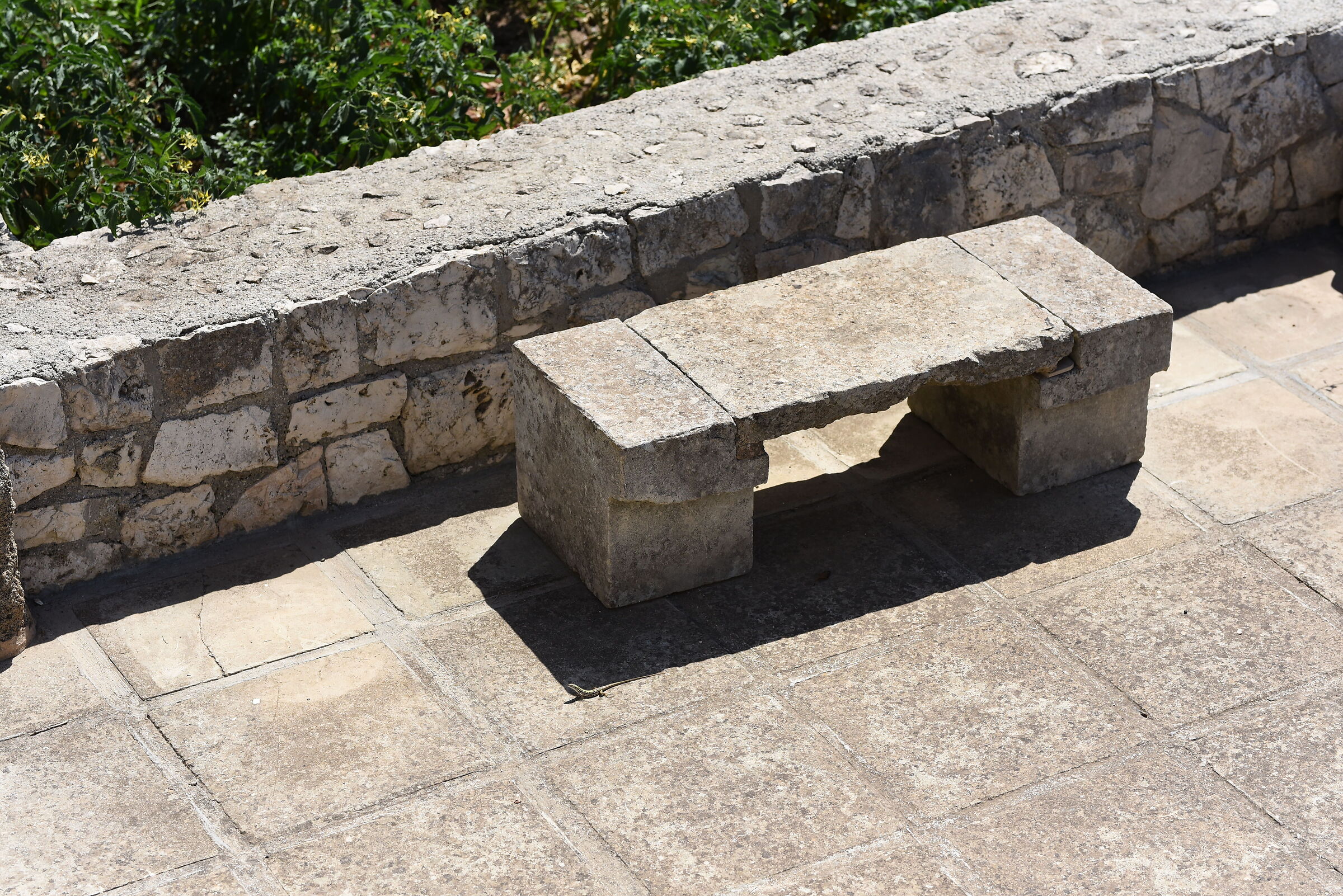 Sigma 85, 1.4- 1/4.0 0 0, F. 4.8, ISO 500"Serpe, Ombra&...