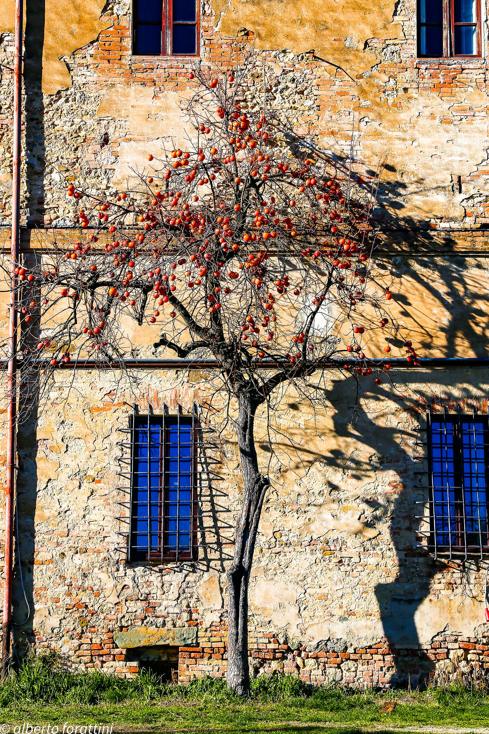 Glimpses