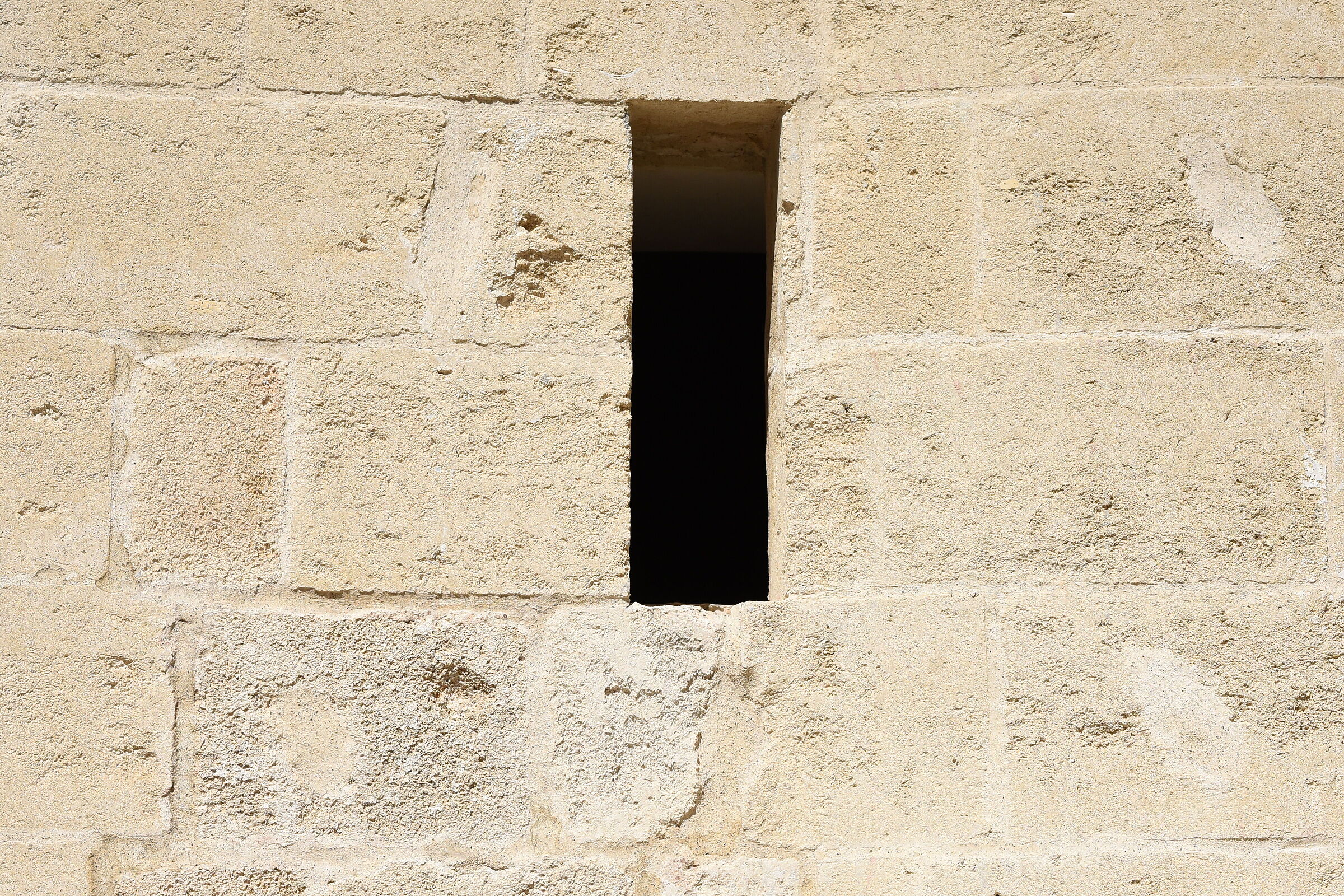 Sigma 85, 1.4 Art- 1/ 4.0 0 0, f. 5.6, ISO 500 " Ombra&...
