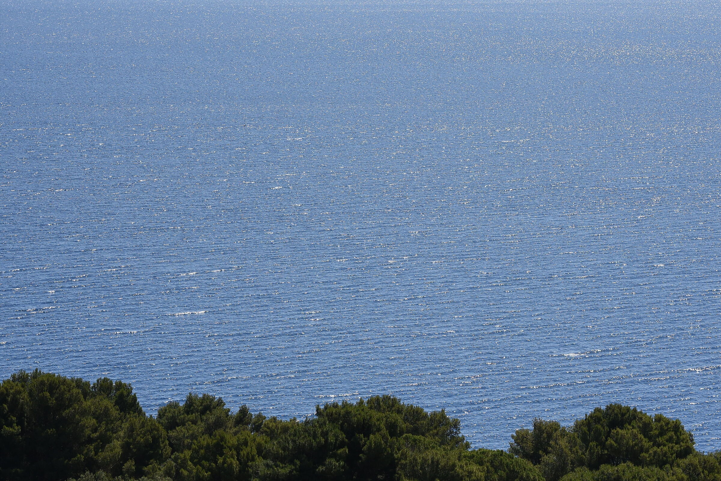 Sigm 85, 1.4 Art- 1/ 4.0 0 0, F. 5.6, ISO 500