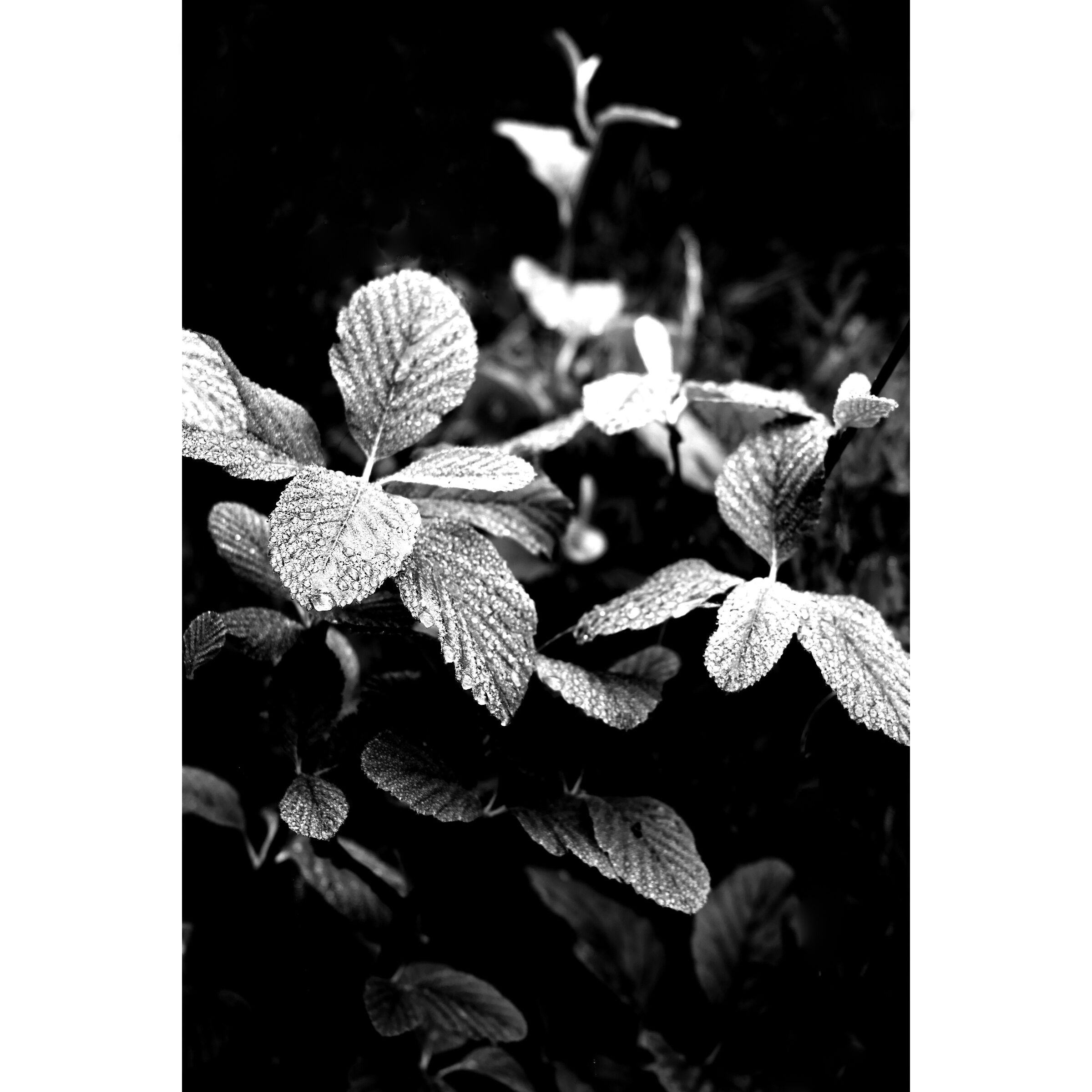 Untitled Photo
