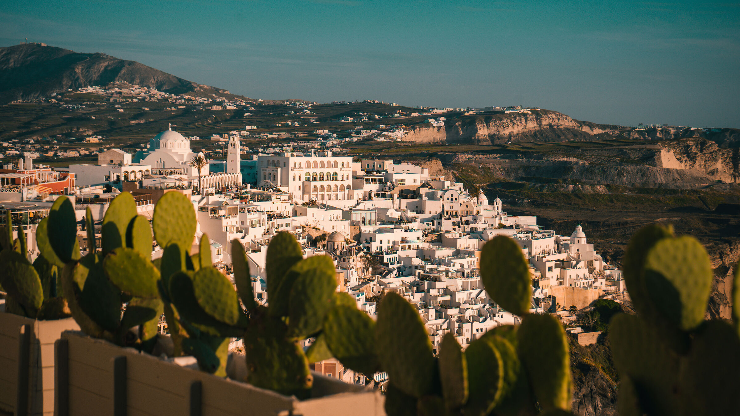 Fira dietro i cactus