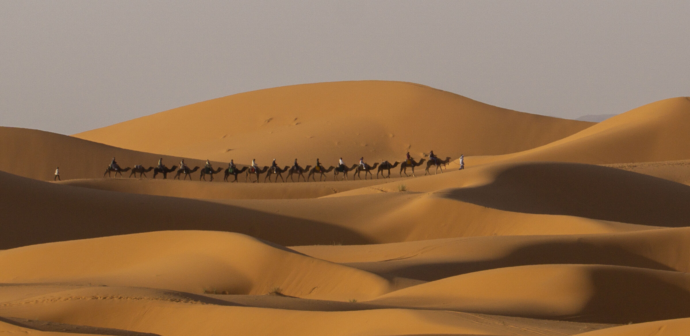 caravan in the Moroccan desert