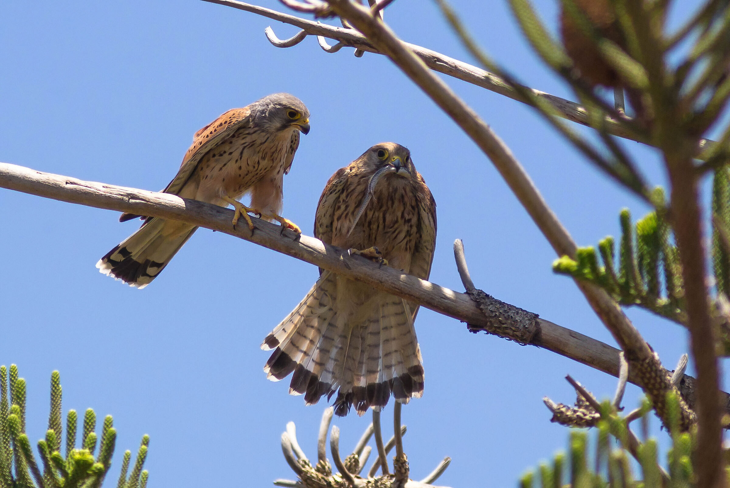 Leave me a little piece