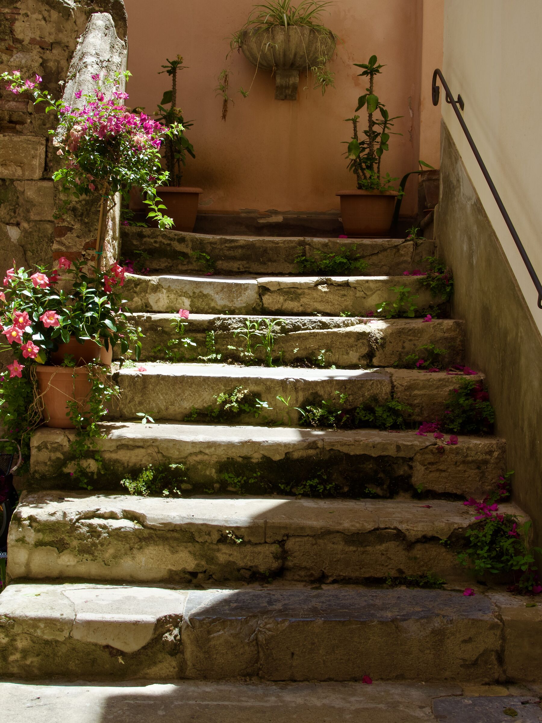 The stairs