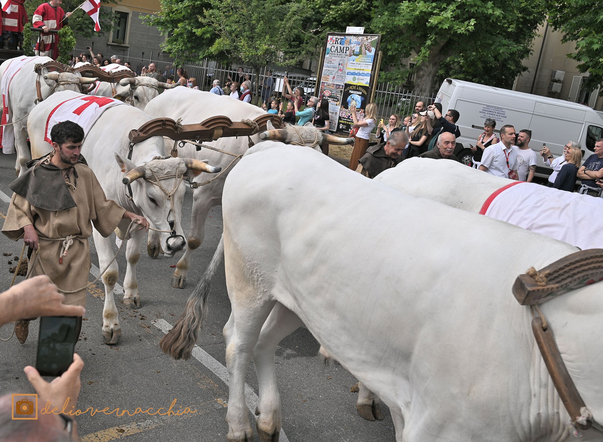 Palio legnano