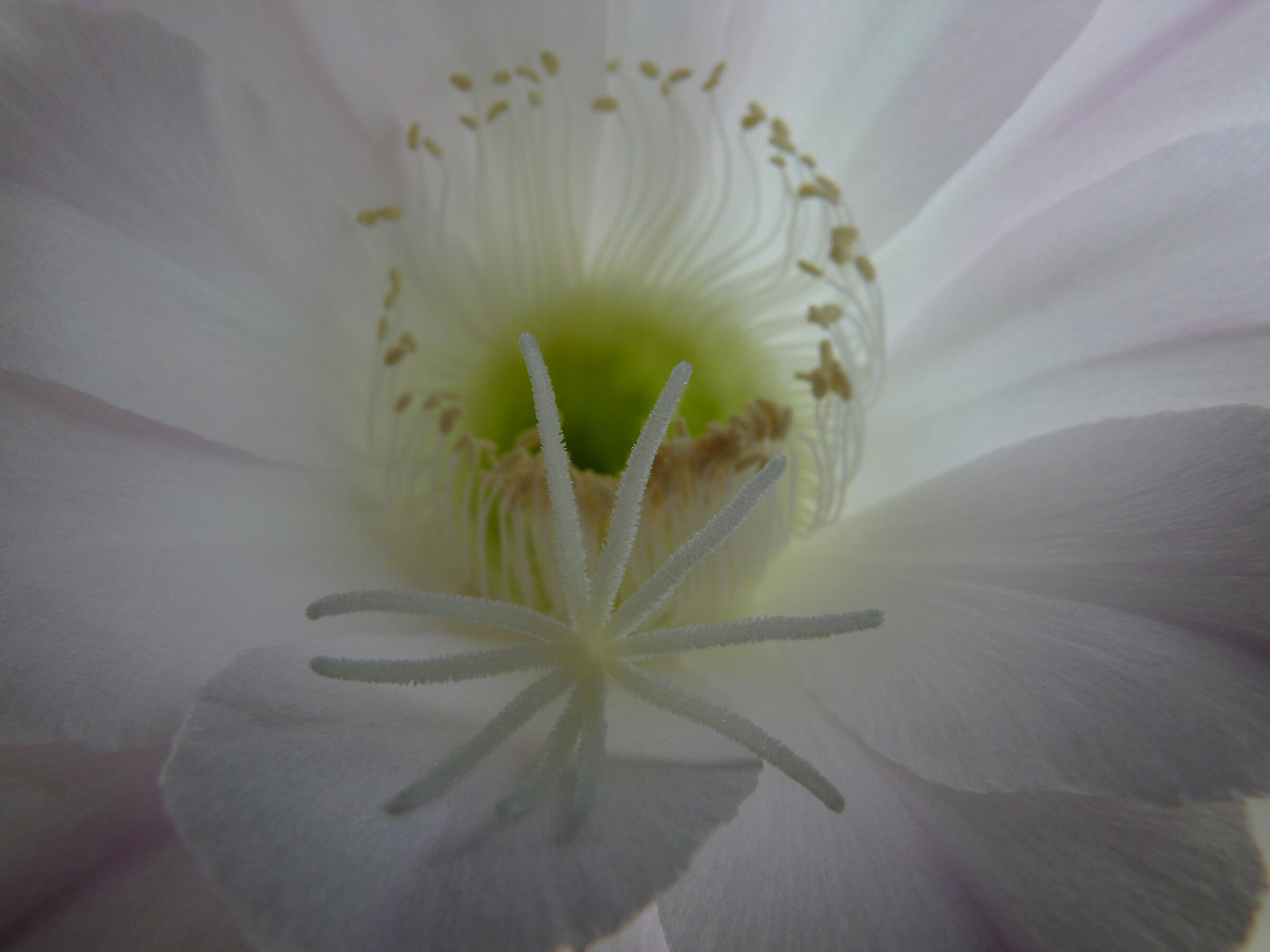 E ora soffermiamoci sul particolare