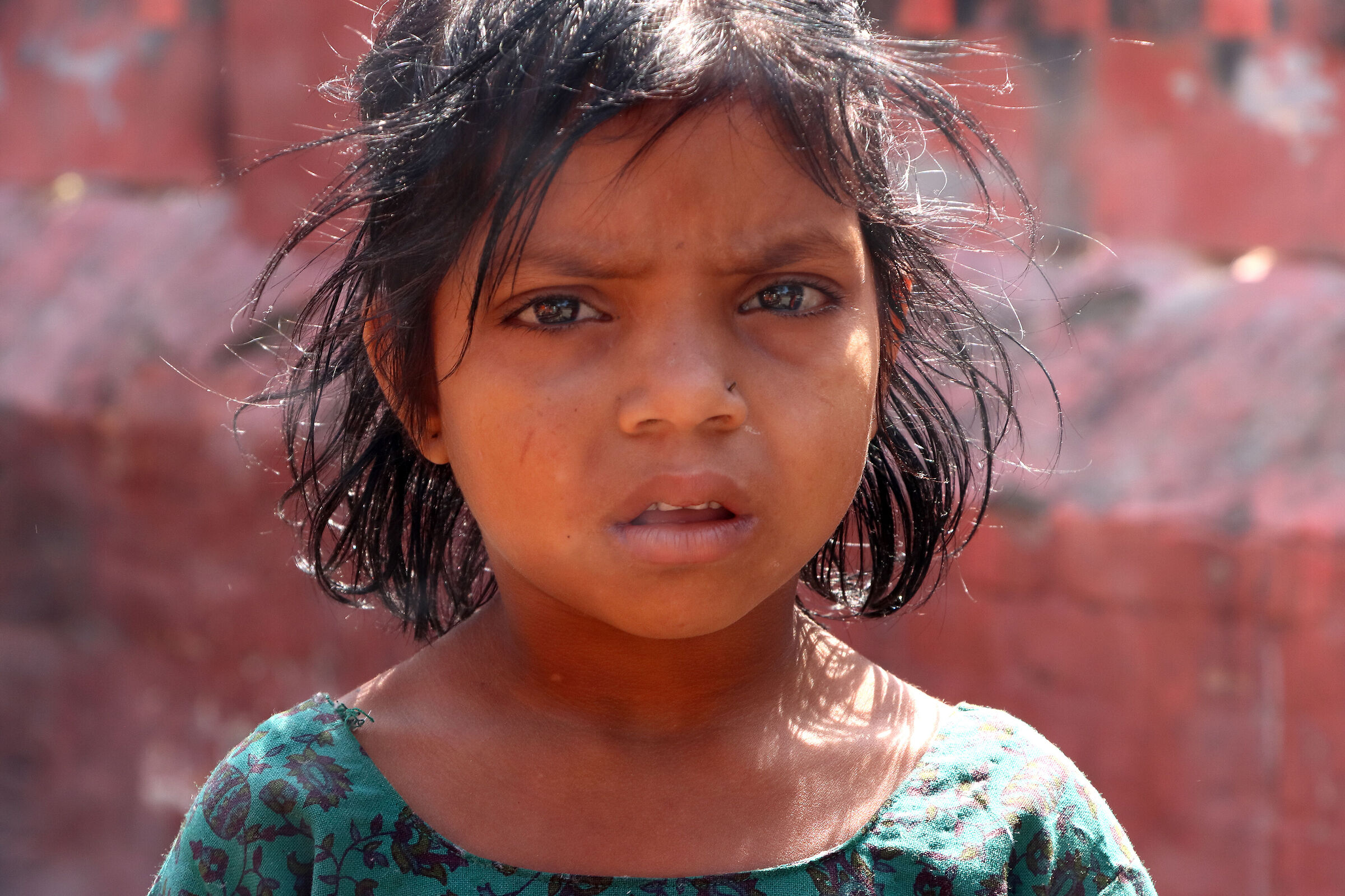 "melancholy" in shiwa temple