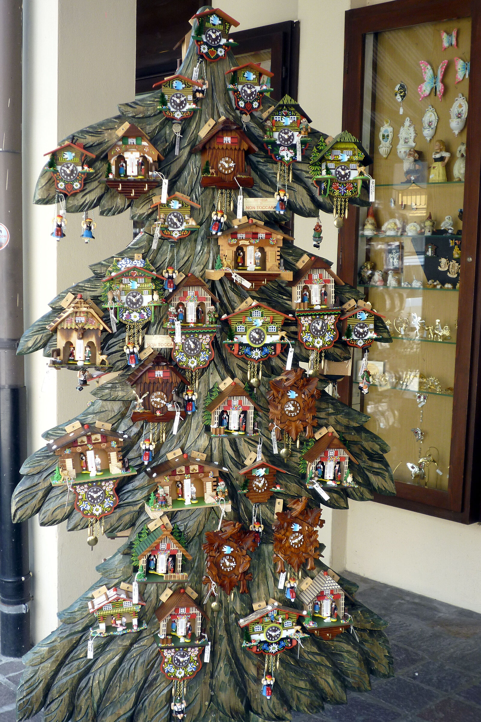 L'albero dei cucù