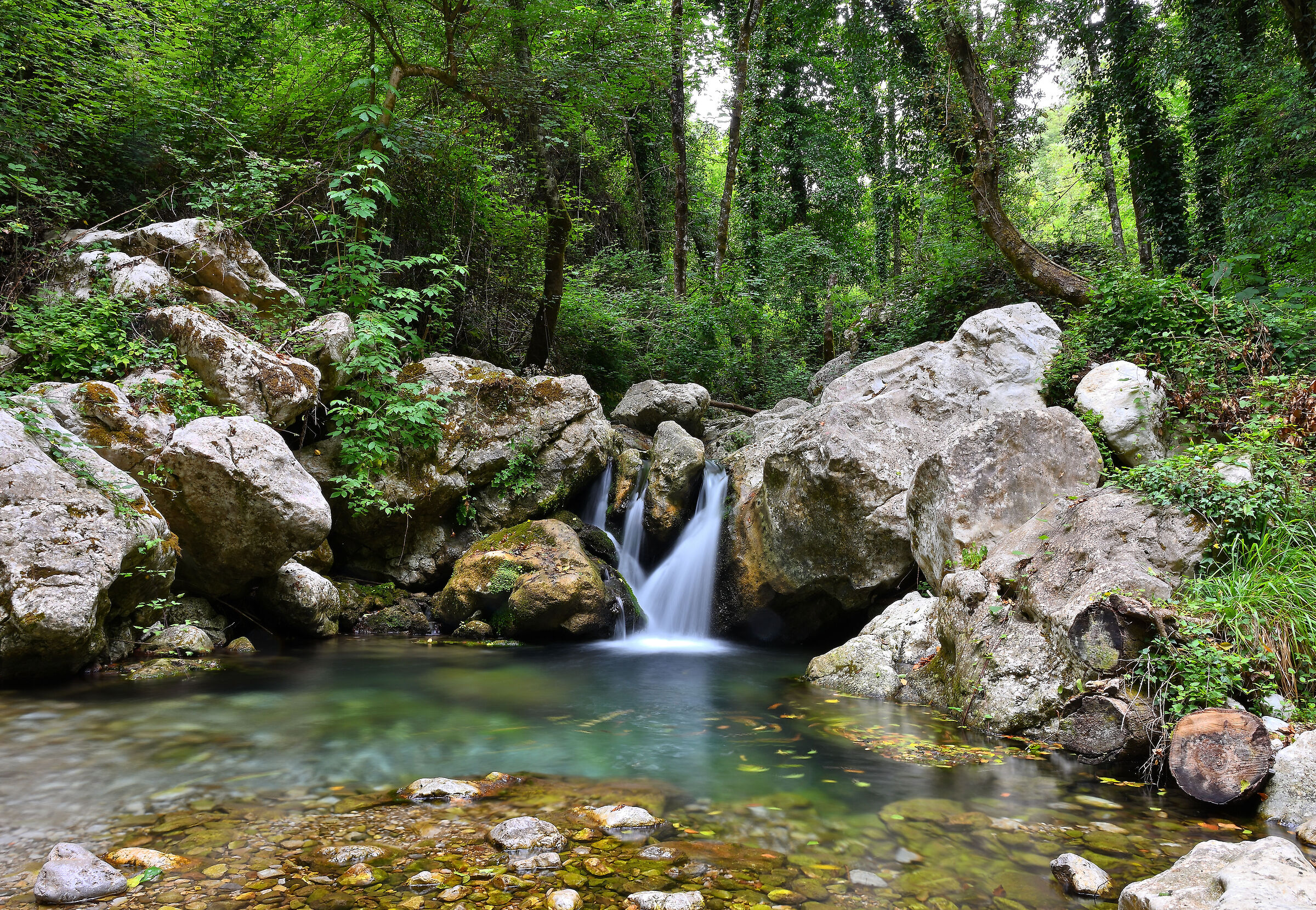 caves of Bussento